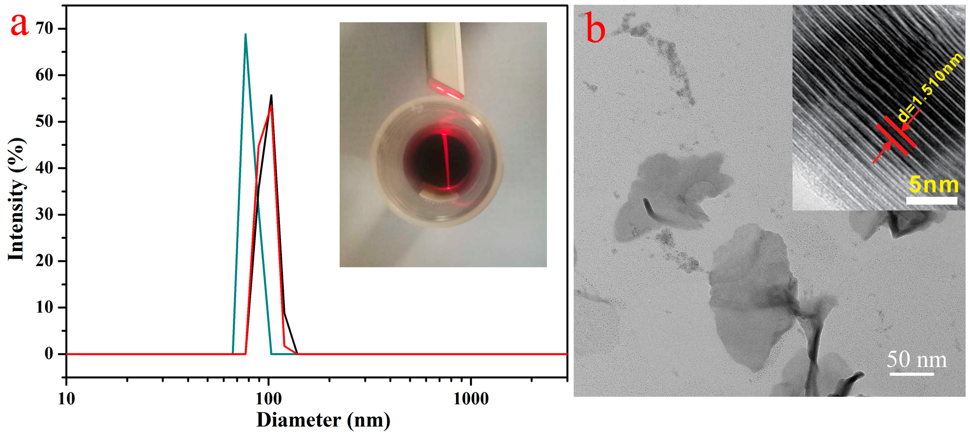 Nanomaterials 09 00284 g001