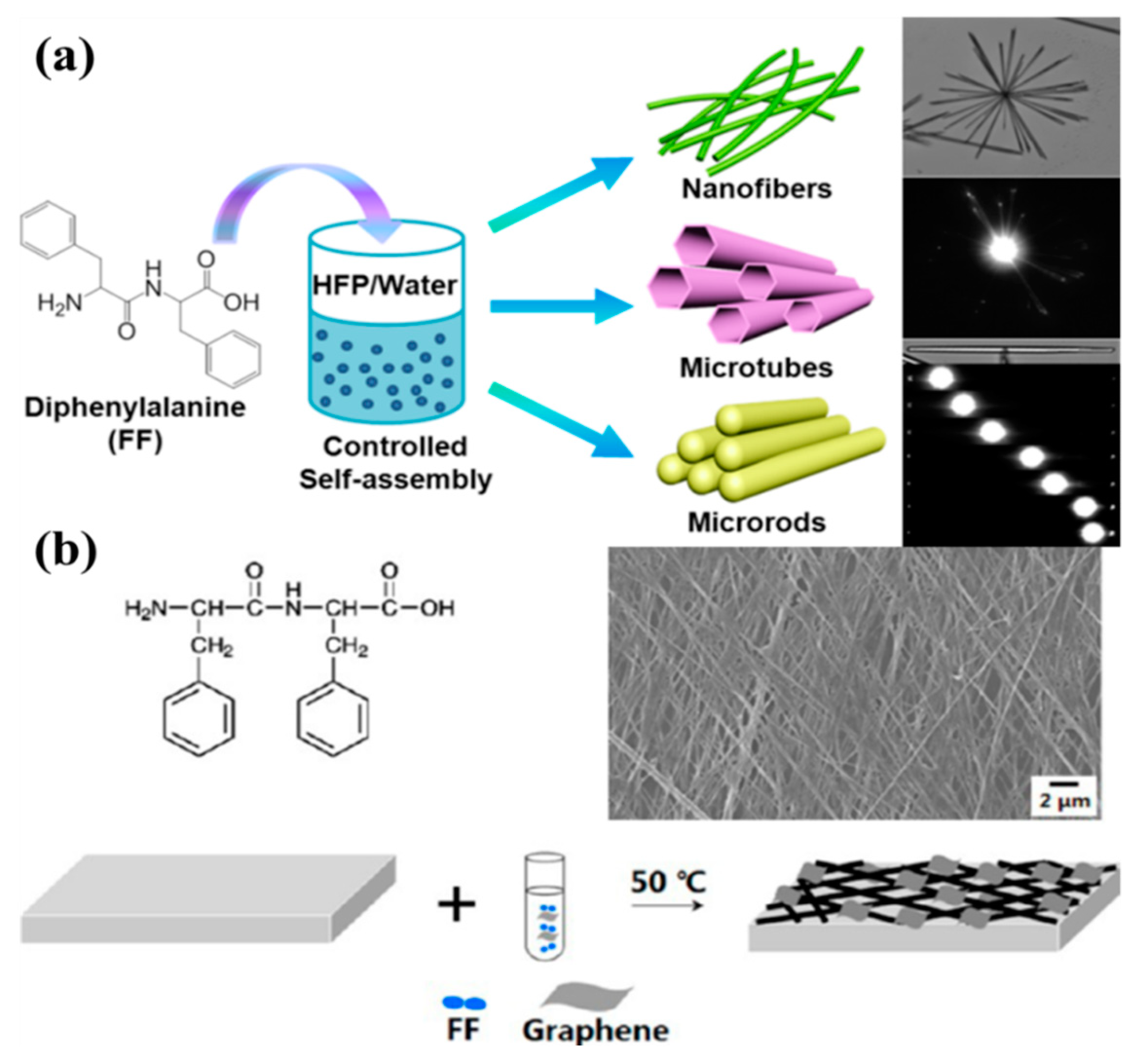 Nanomaterials 09 00285 g001