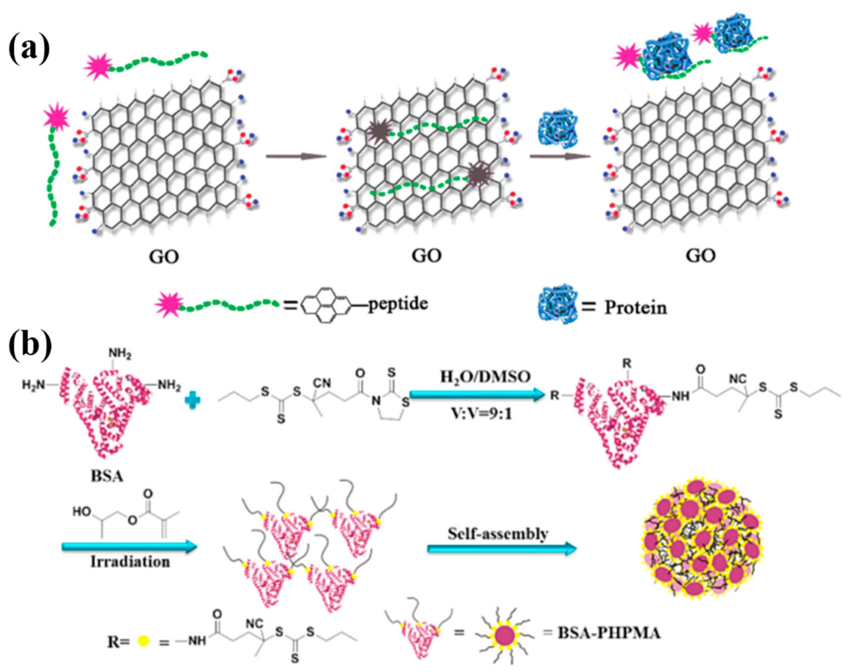 Nanomaterials 09 00285 g003