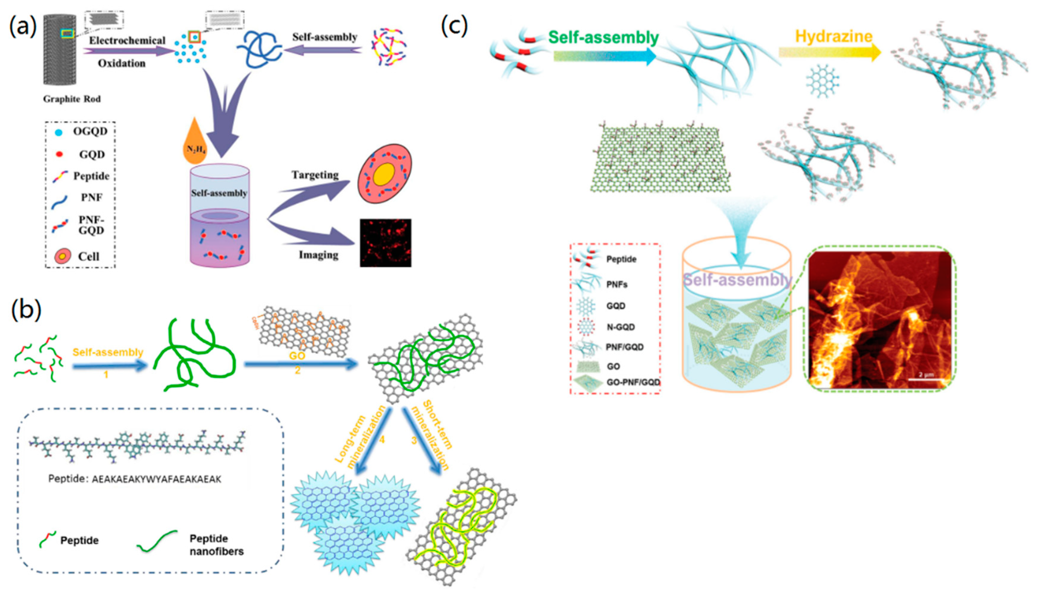 Nanomaterials 09 00285 g004