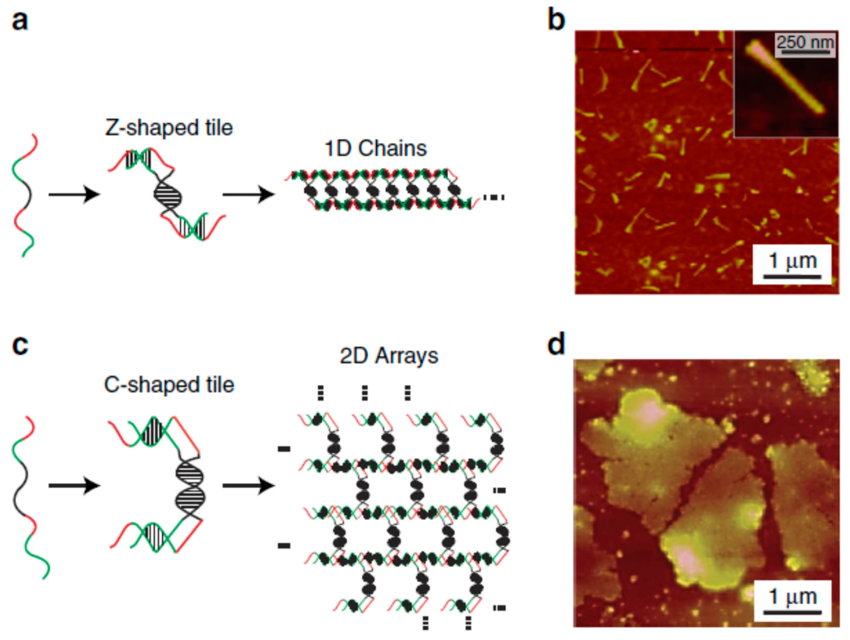 Nanomaterials 09 00285 g005