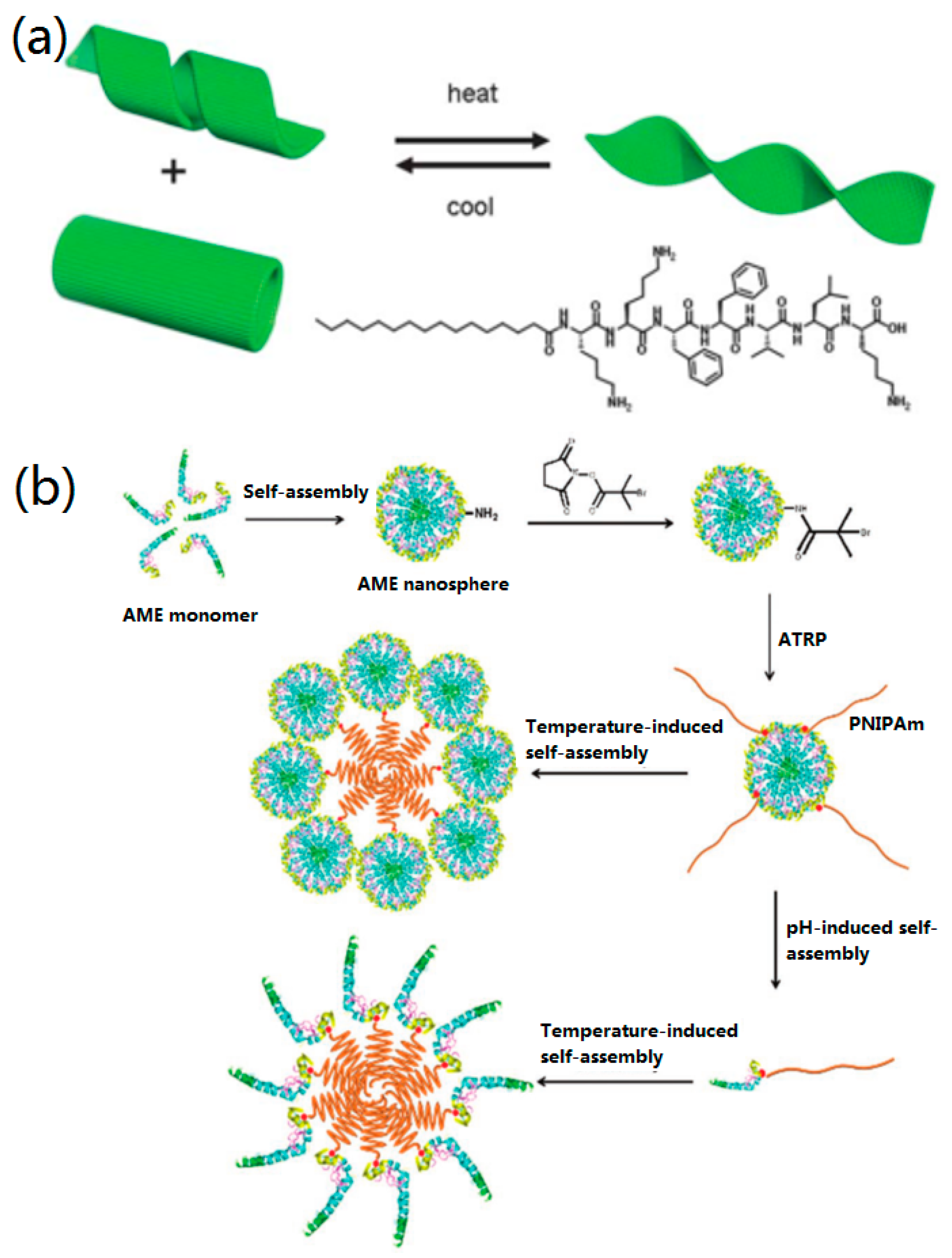 Nanomaterials 09 00285 g008