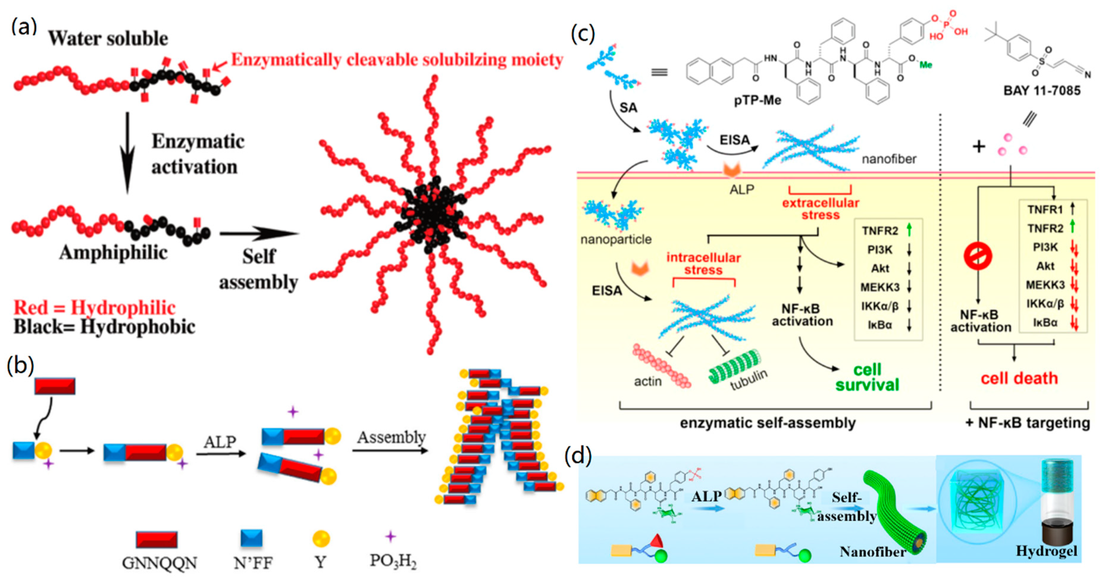 Nanomaterials 09 00285 g011