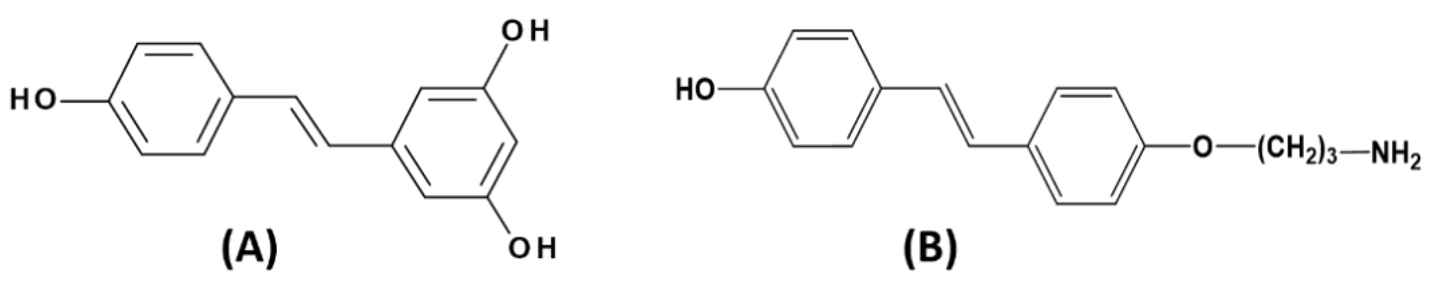 Nanomaterials 09 00287 g001