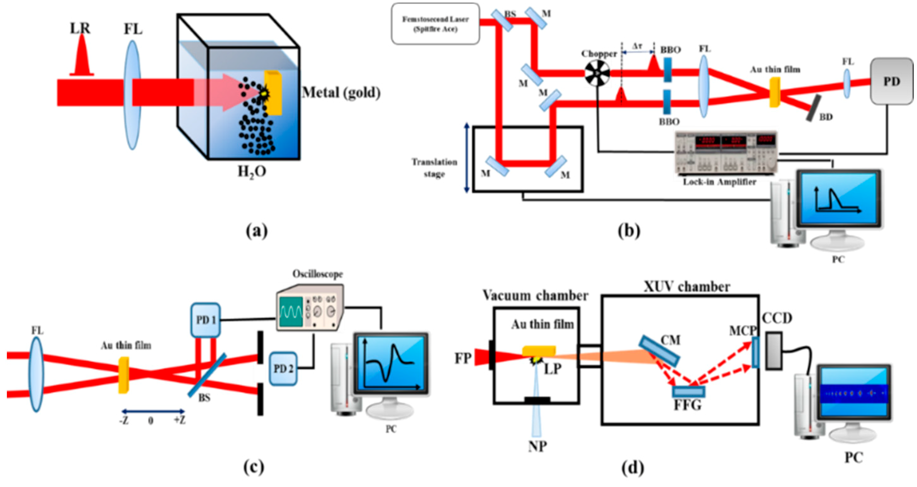 Nanomaterials 09 00291 g001
