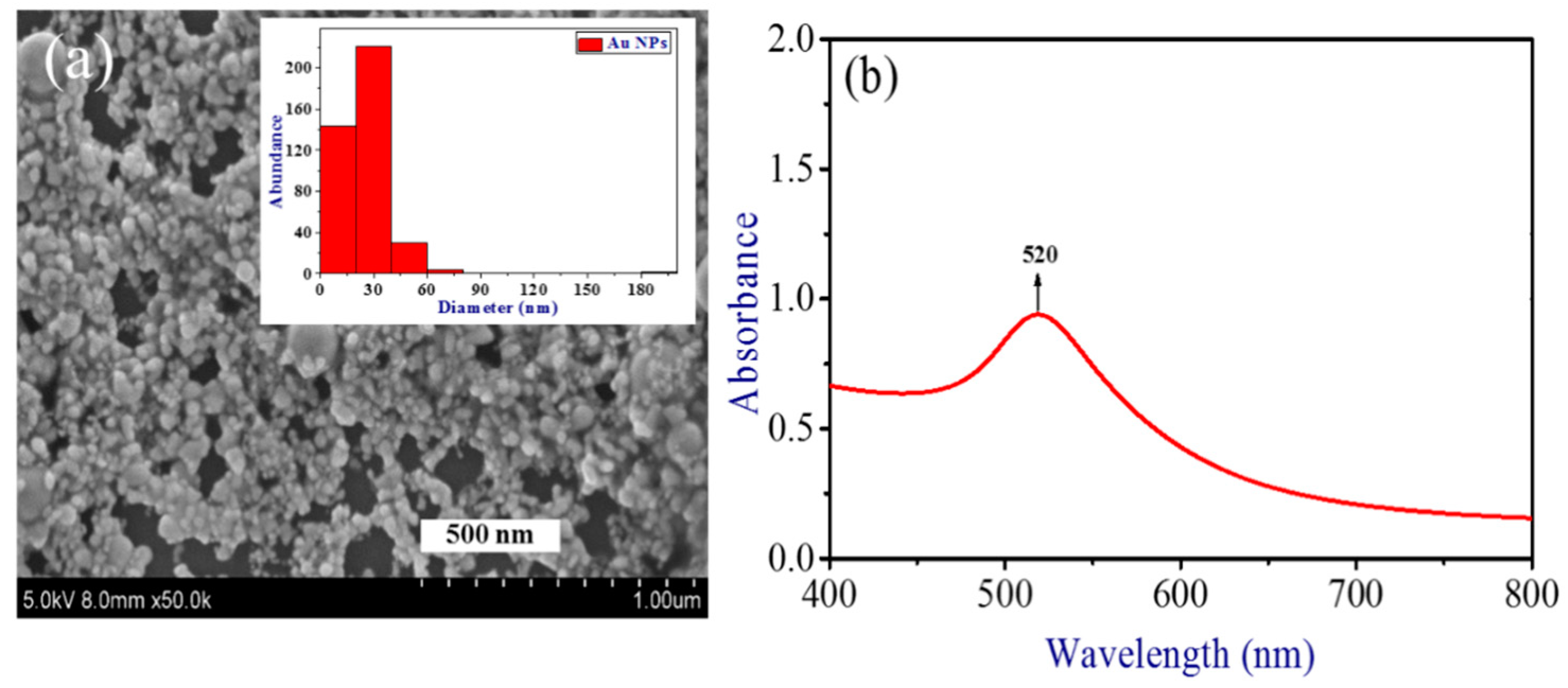 Nanomaterials 09 00291 g002