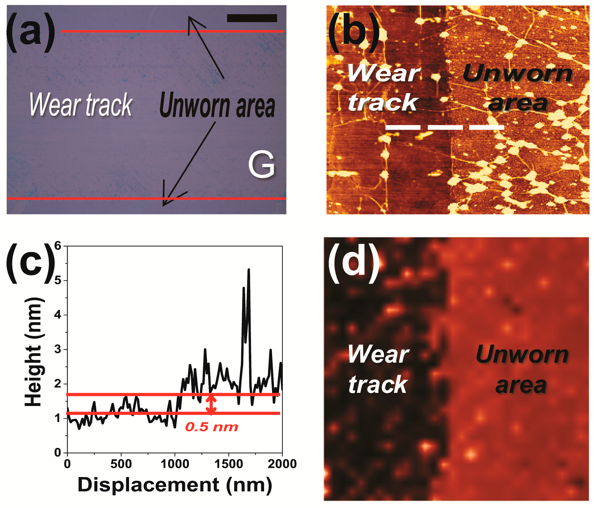 Nanomaterials 09 00293 g003