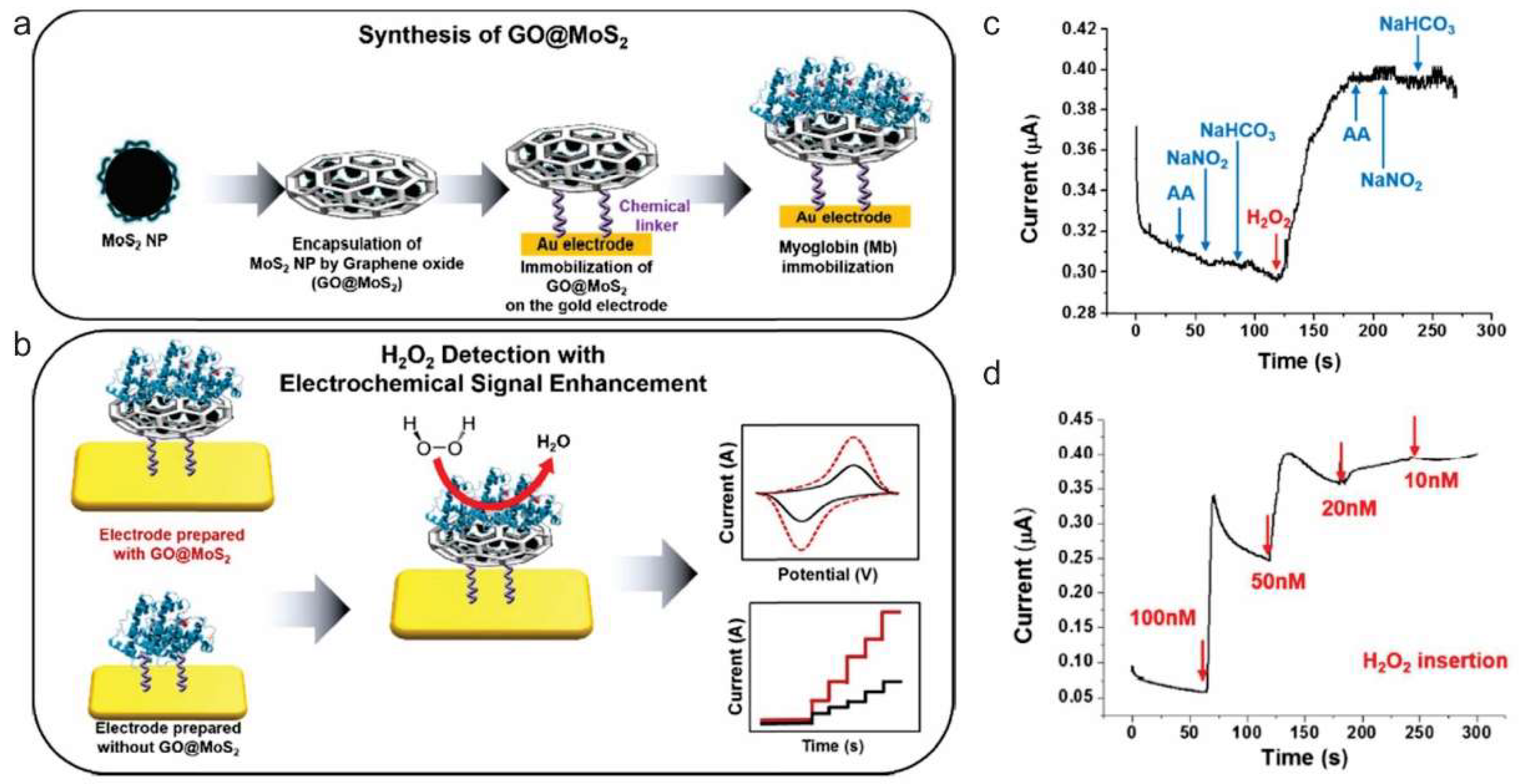 Nanomaterials 09 00297 g002
