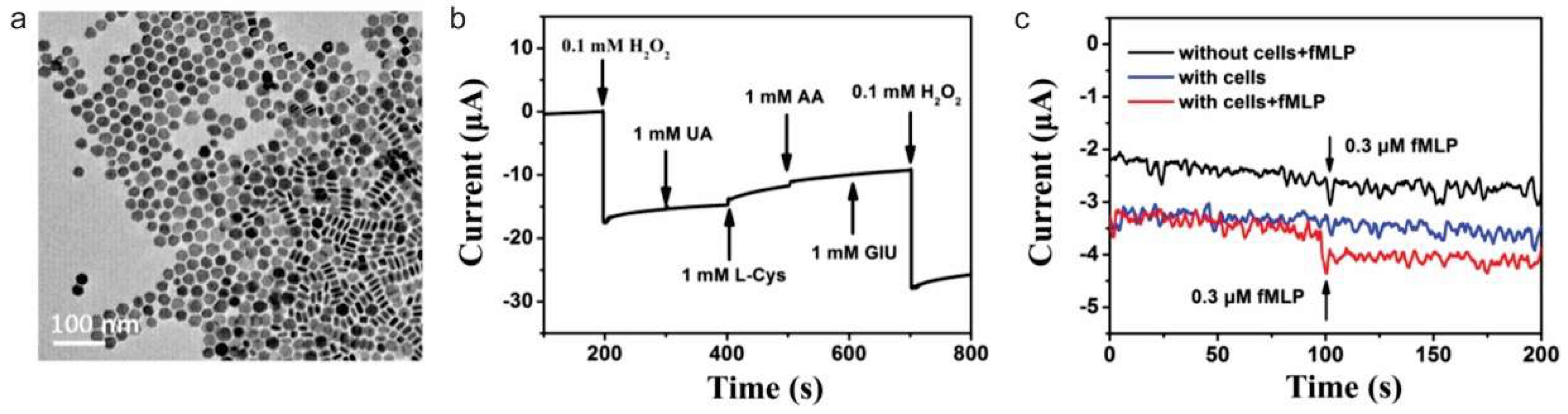 Nanomaterials 09 00297 g006
