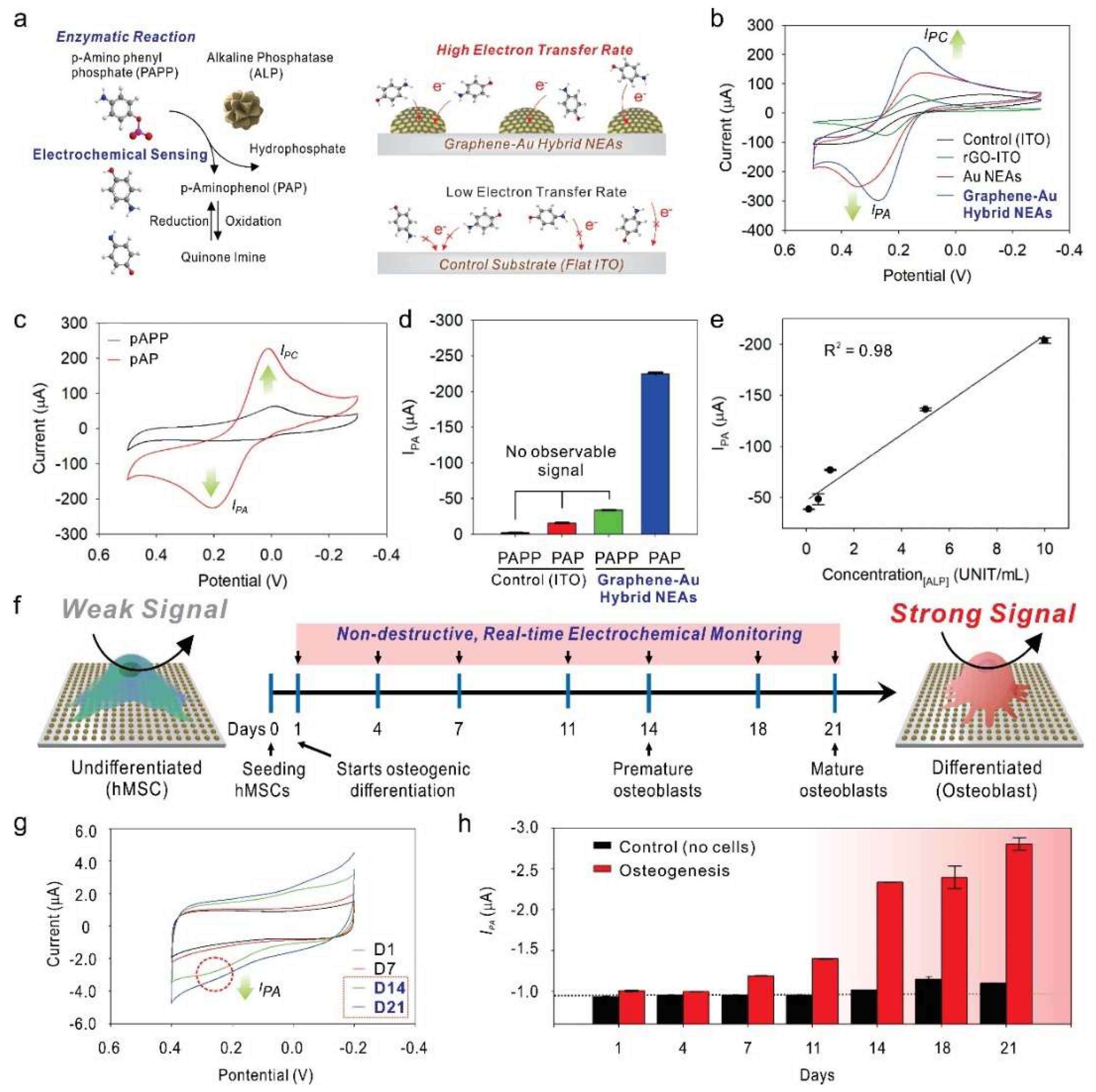 Nanomaterials 09 00297 g007