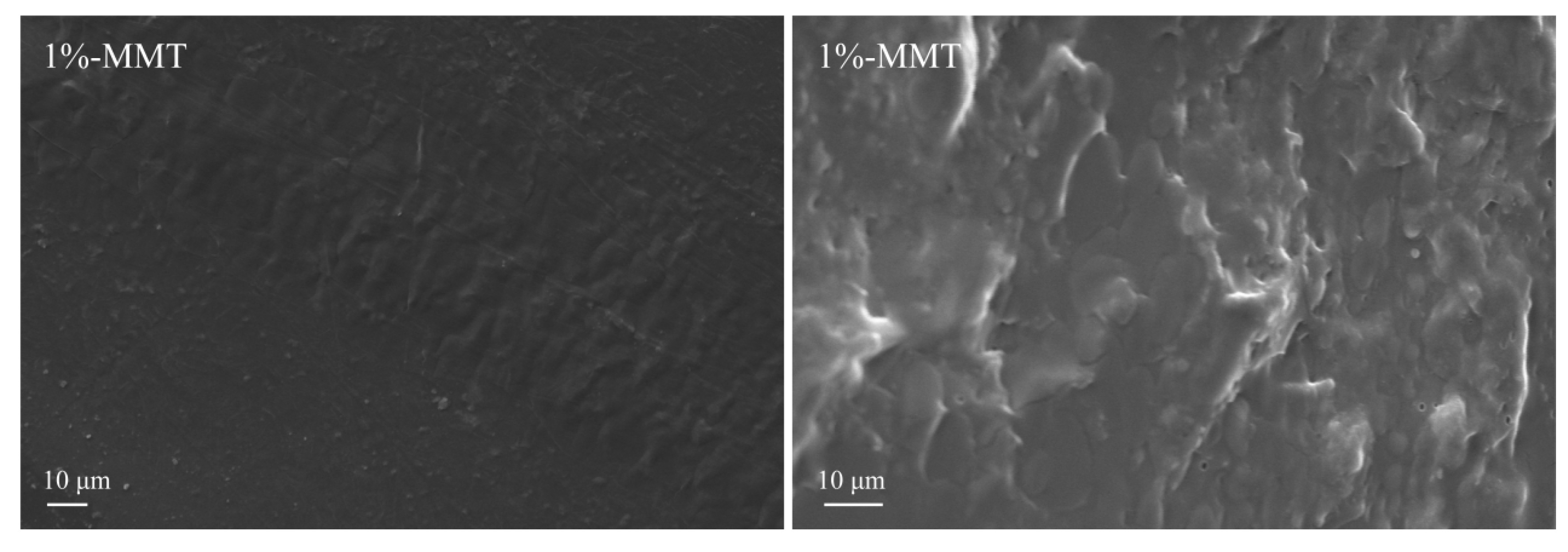 Nanomaterials 09 00298 g002a