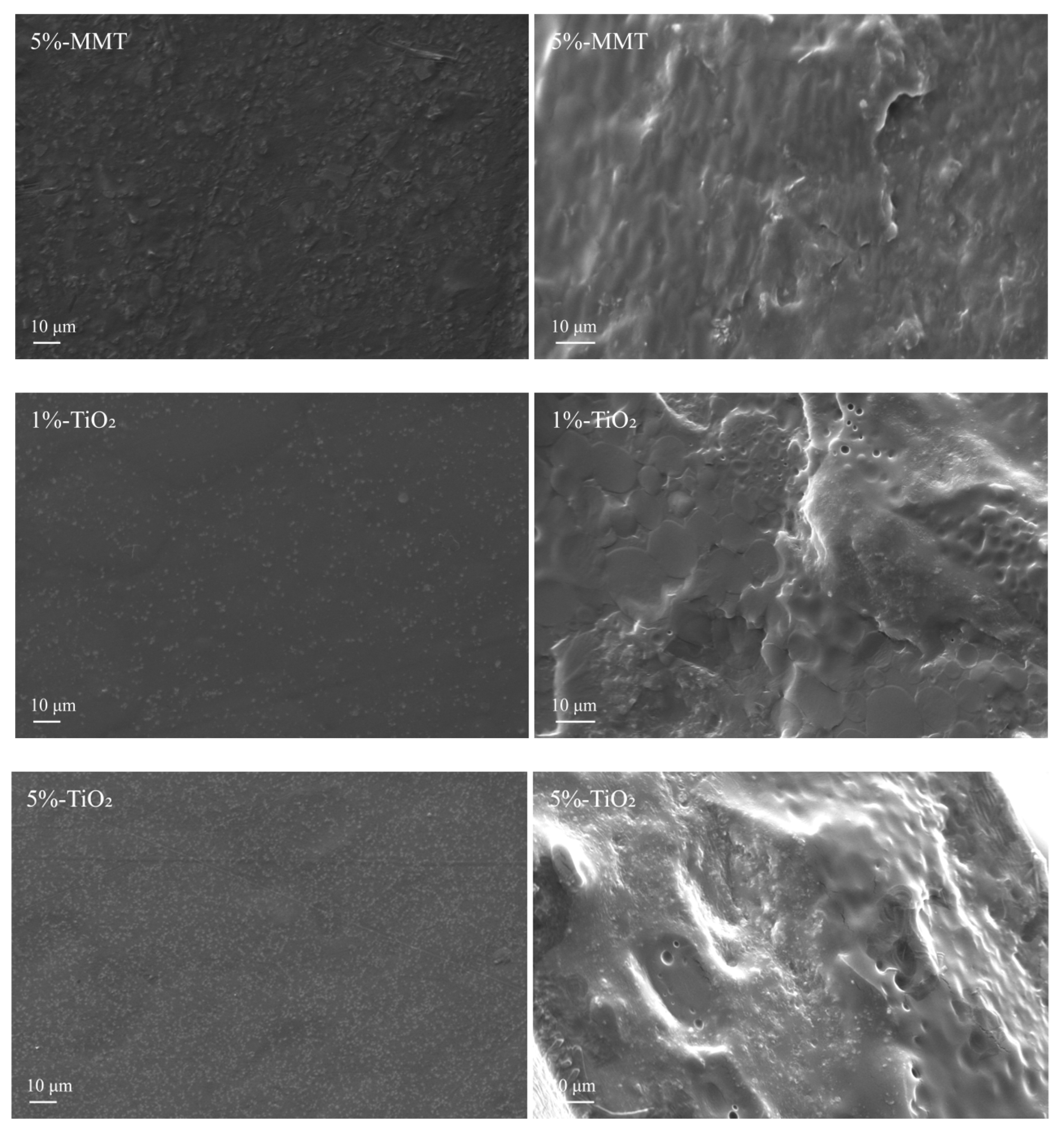 Nanomaterials 09 00298 g002b