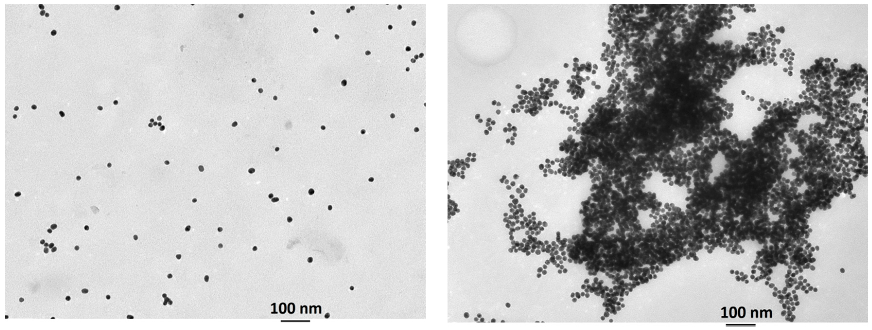 Nanomaterials 09 00302 g003