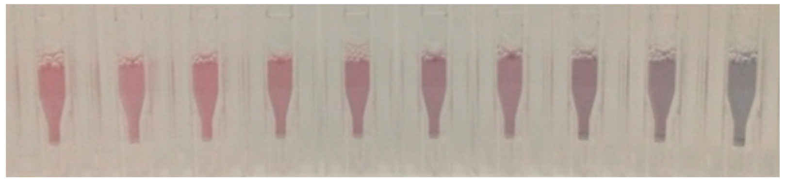 Nanomaterials 09 00302 g005