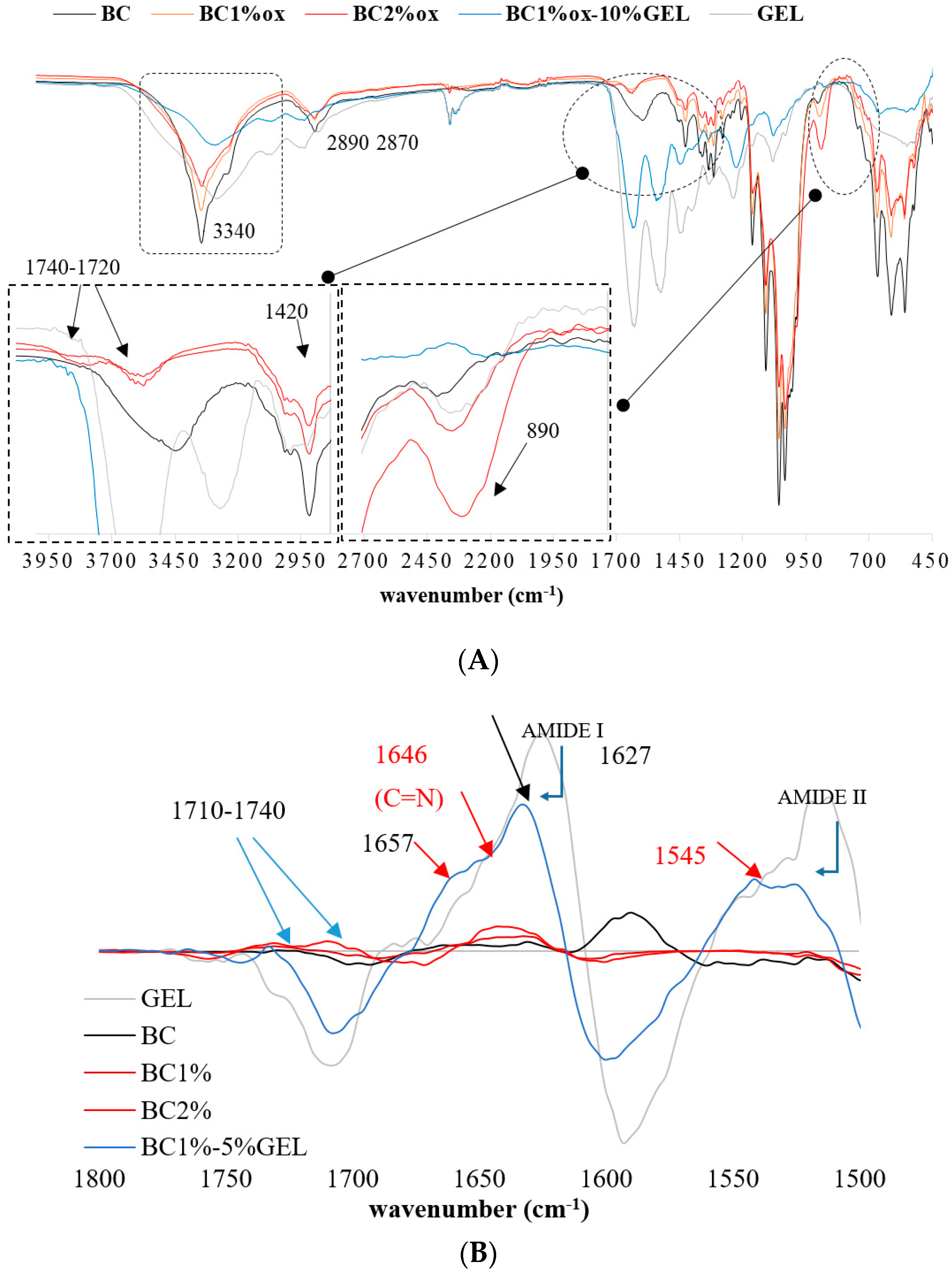 Nanomaterials 09 00303 g001