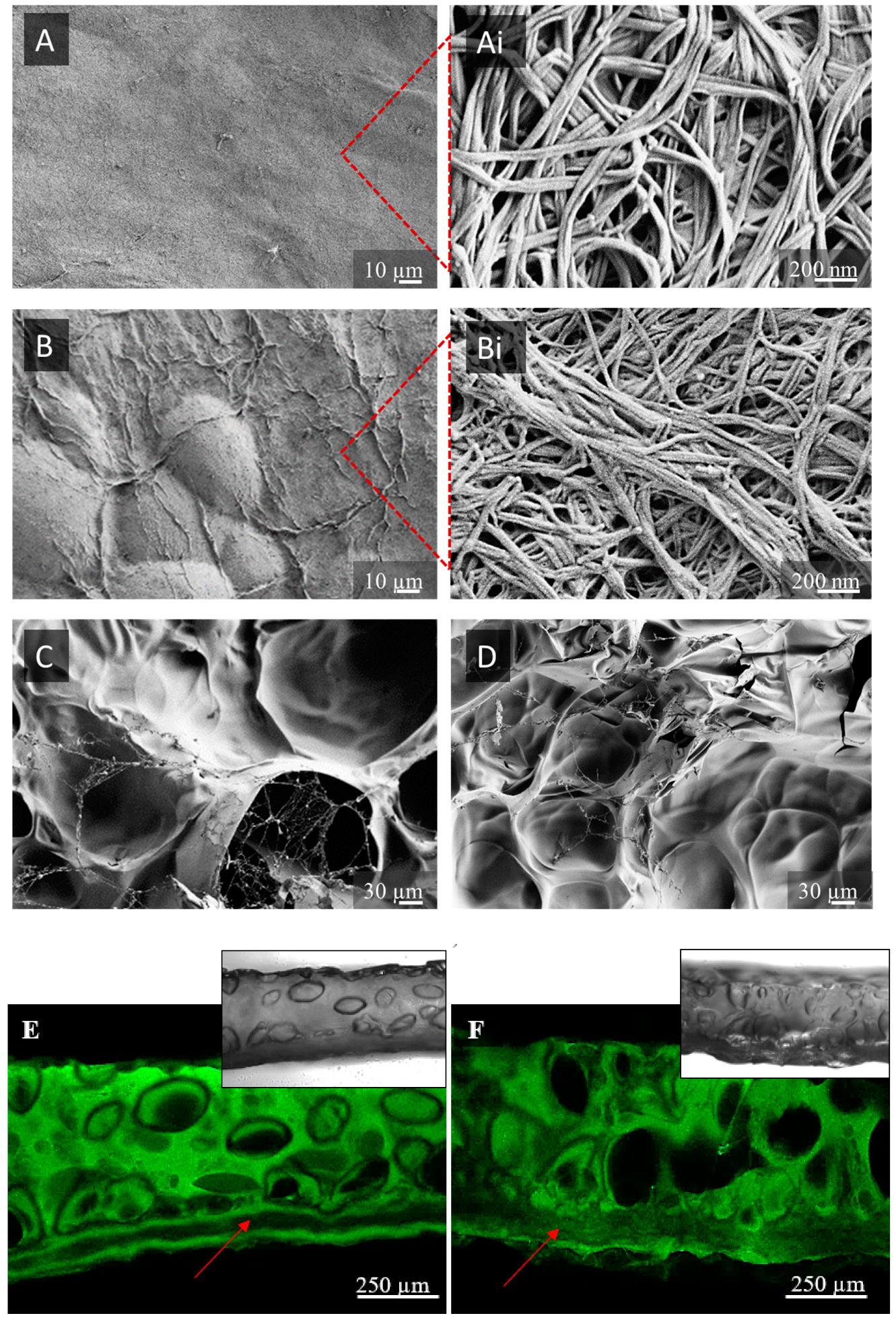 Nanomaterials 09 00303 g002