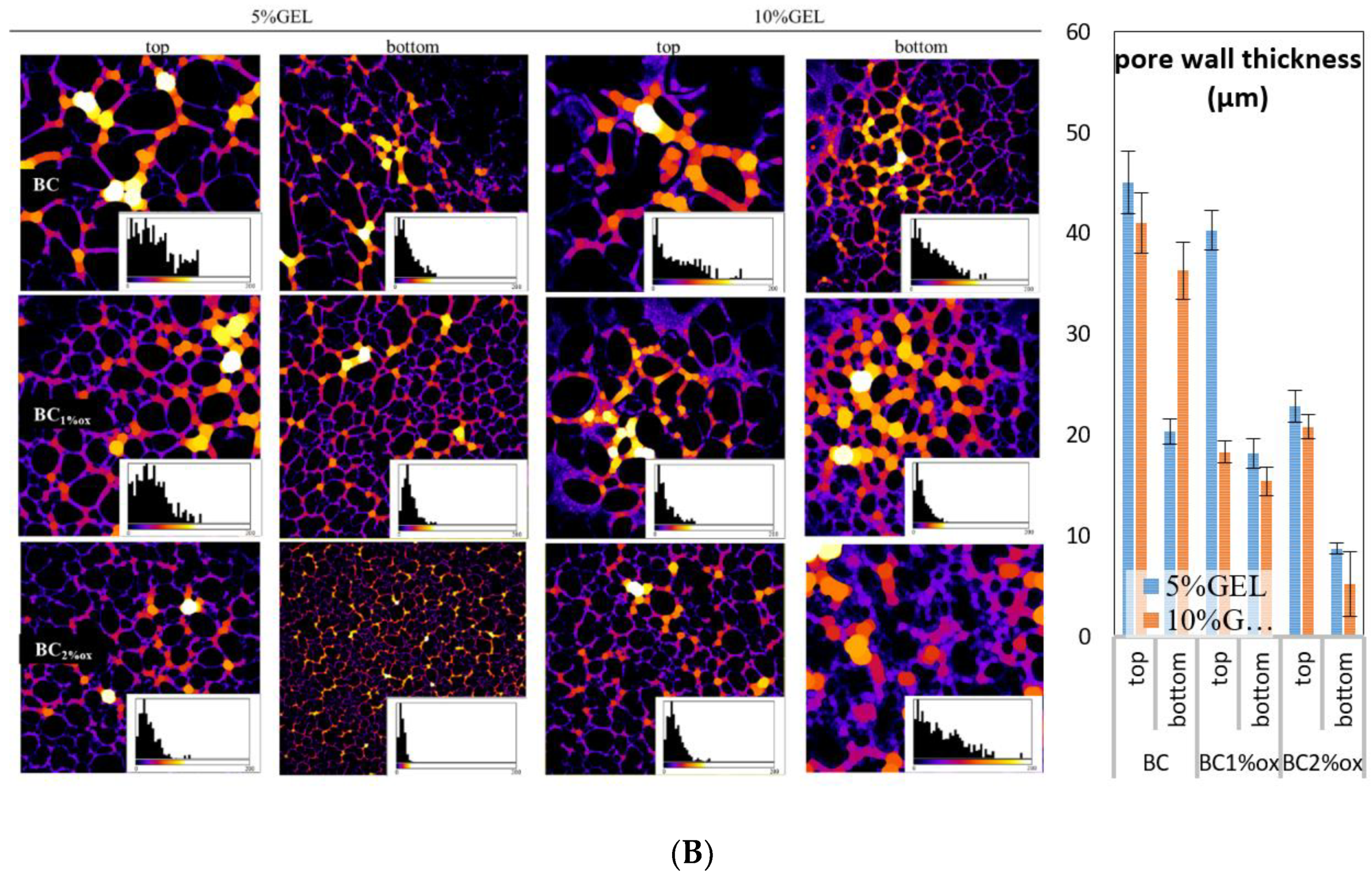 Nanomaterials 09 00303 g003b