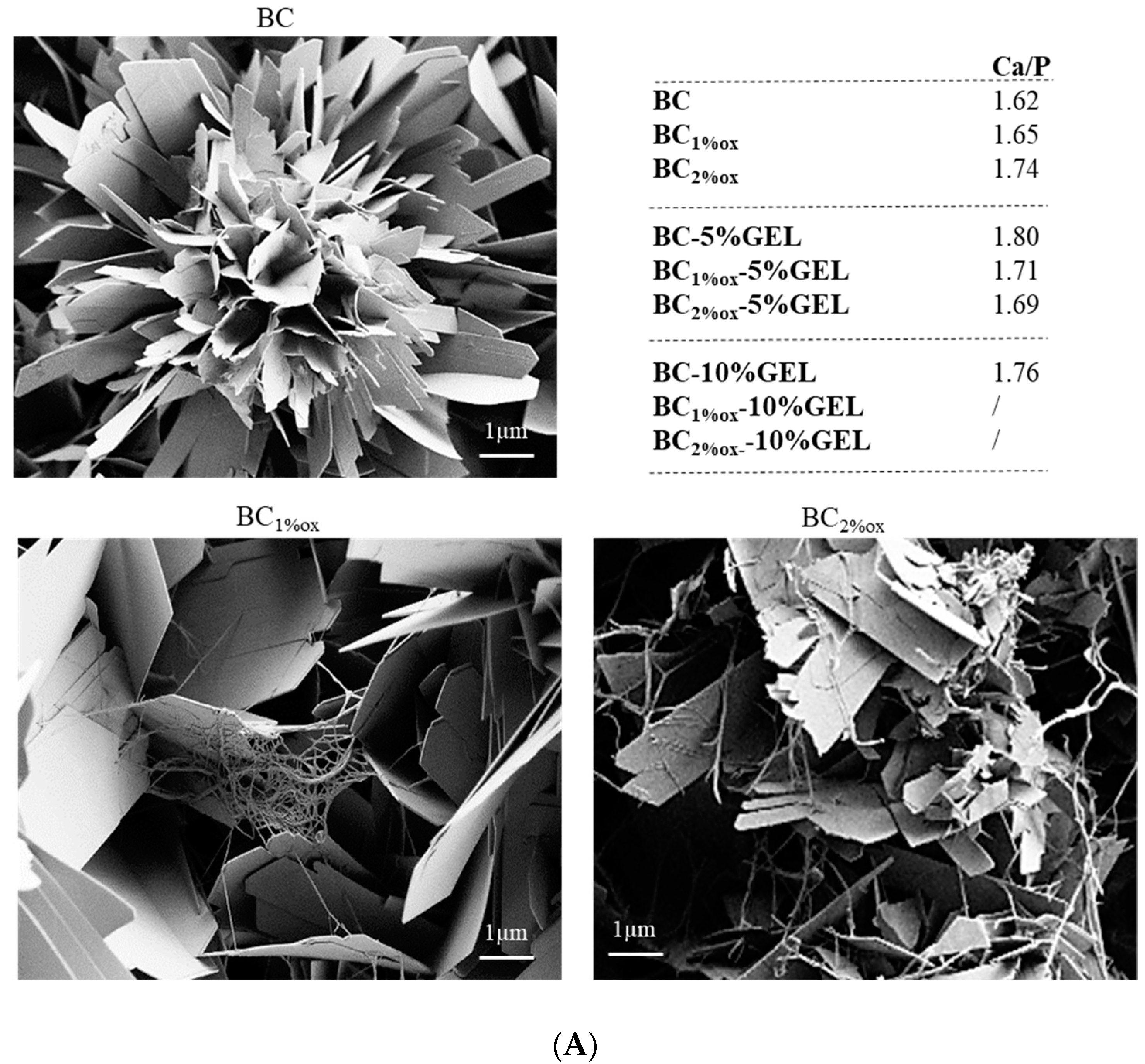 Nanomaterials 09 00303 g004a