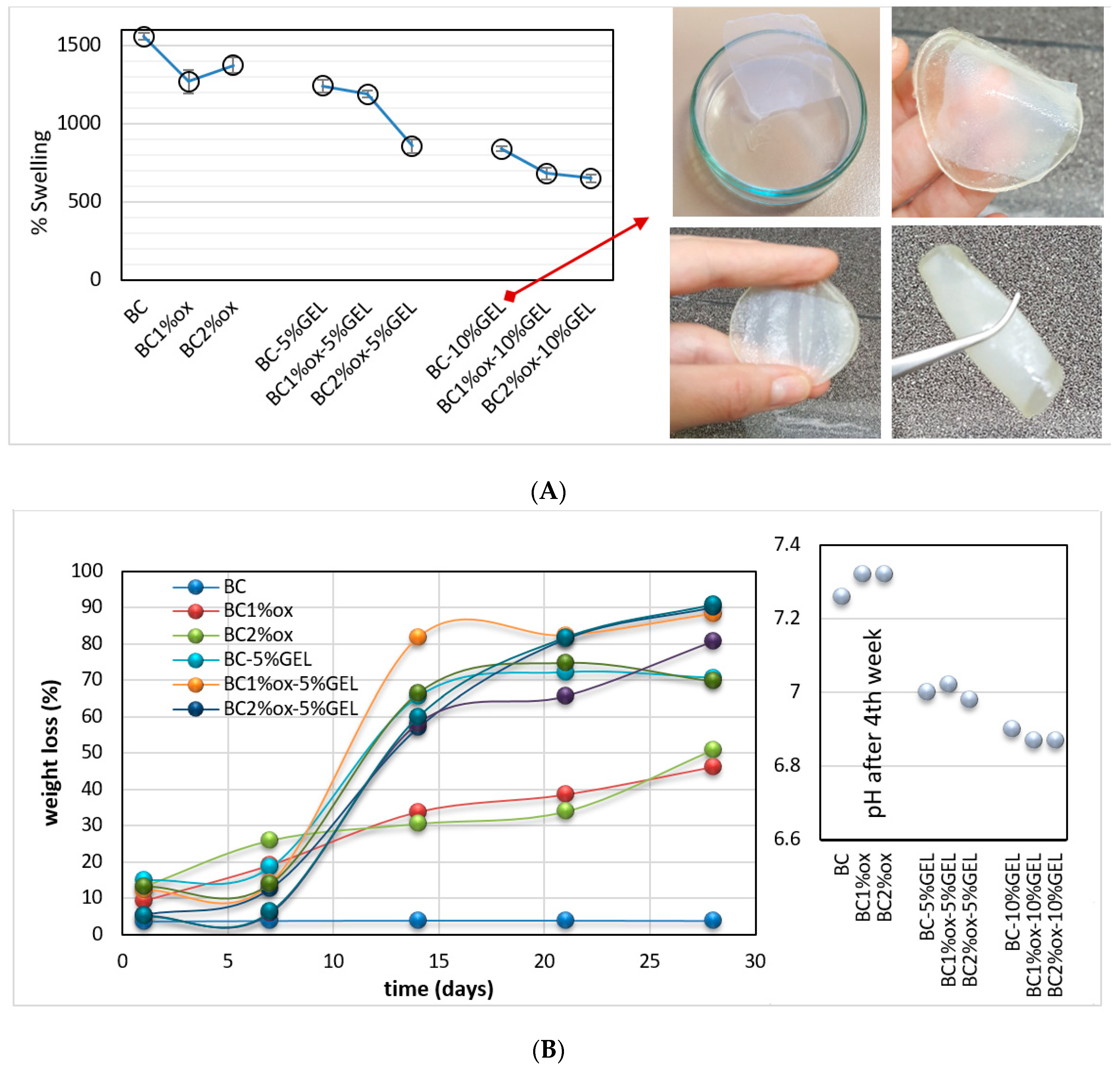 Nanomaterials 09 00303 g006