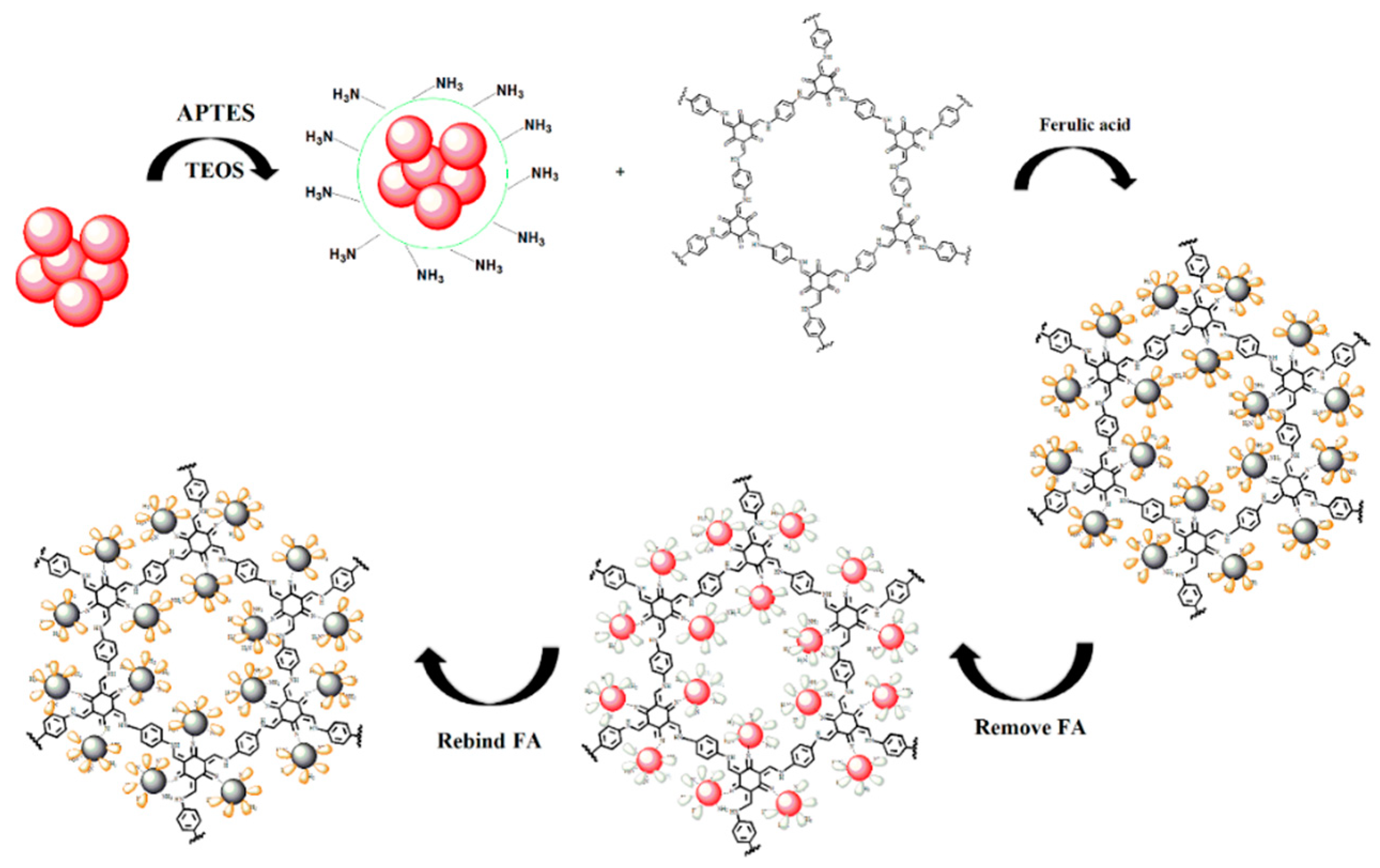 Nanomaterials 09 00305 g001