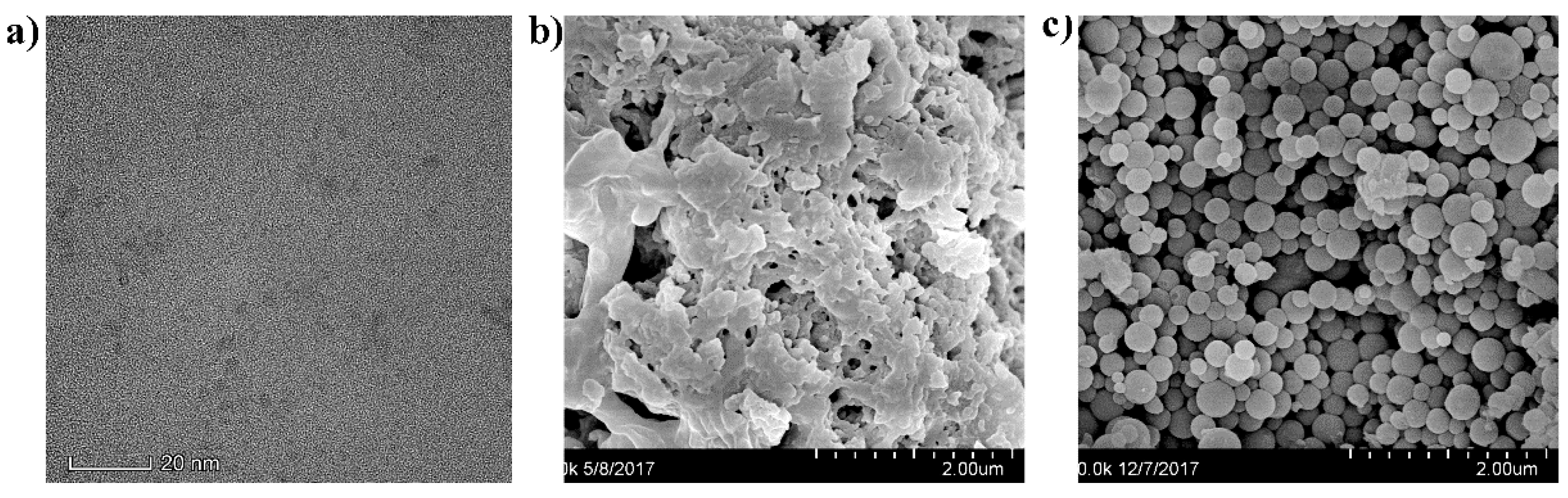 Nanomaterials 09 00305 g003