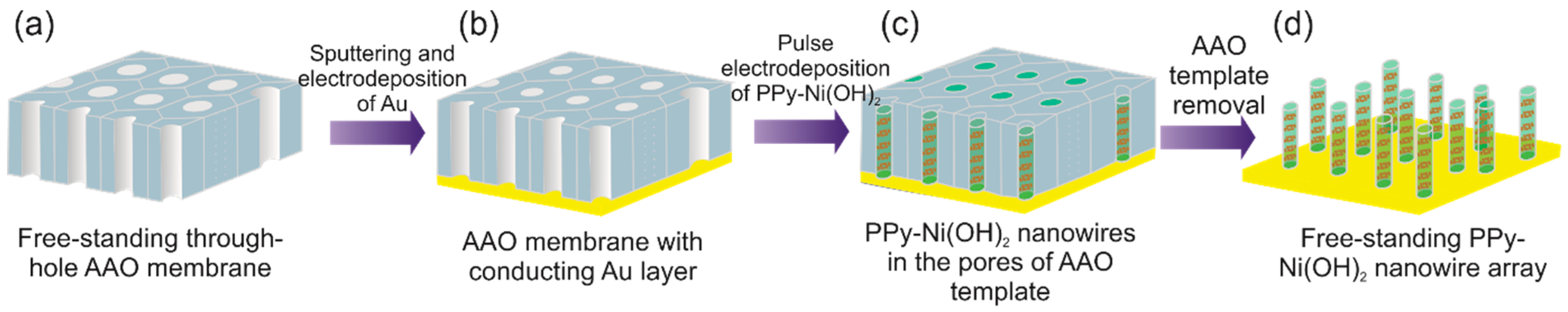 Nanomaterials 09 00307 g001