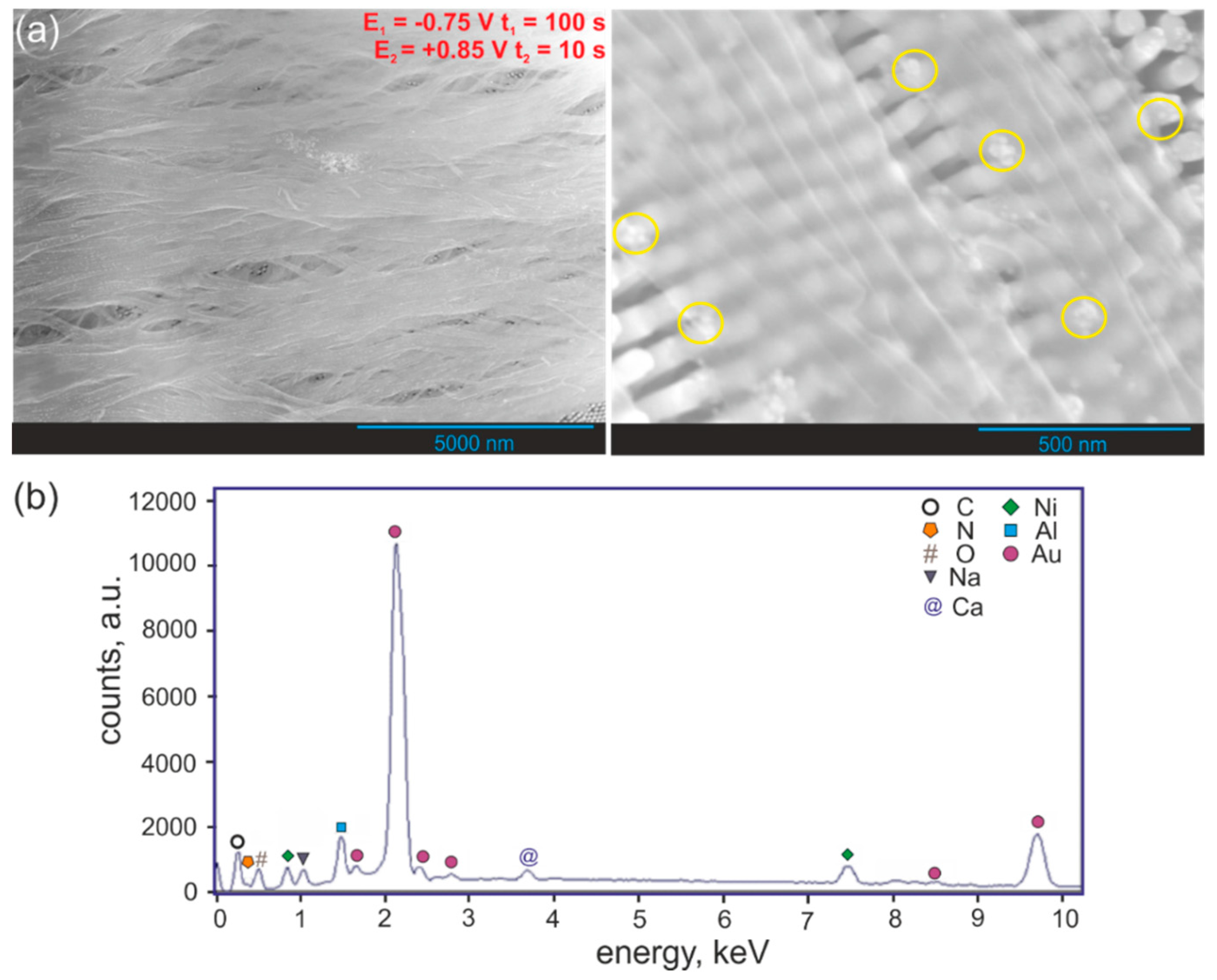 Nanomaterials 09 00307 g003