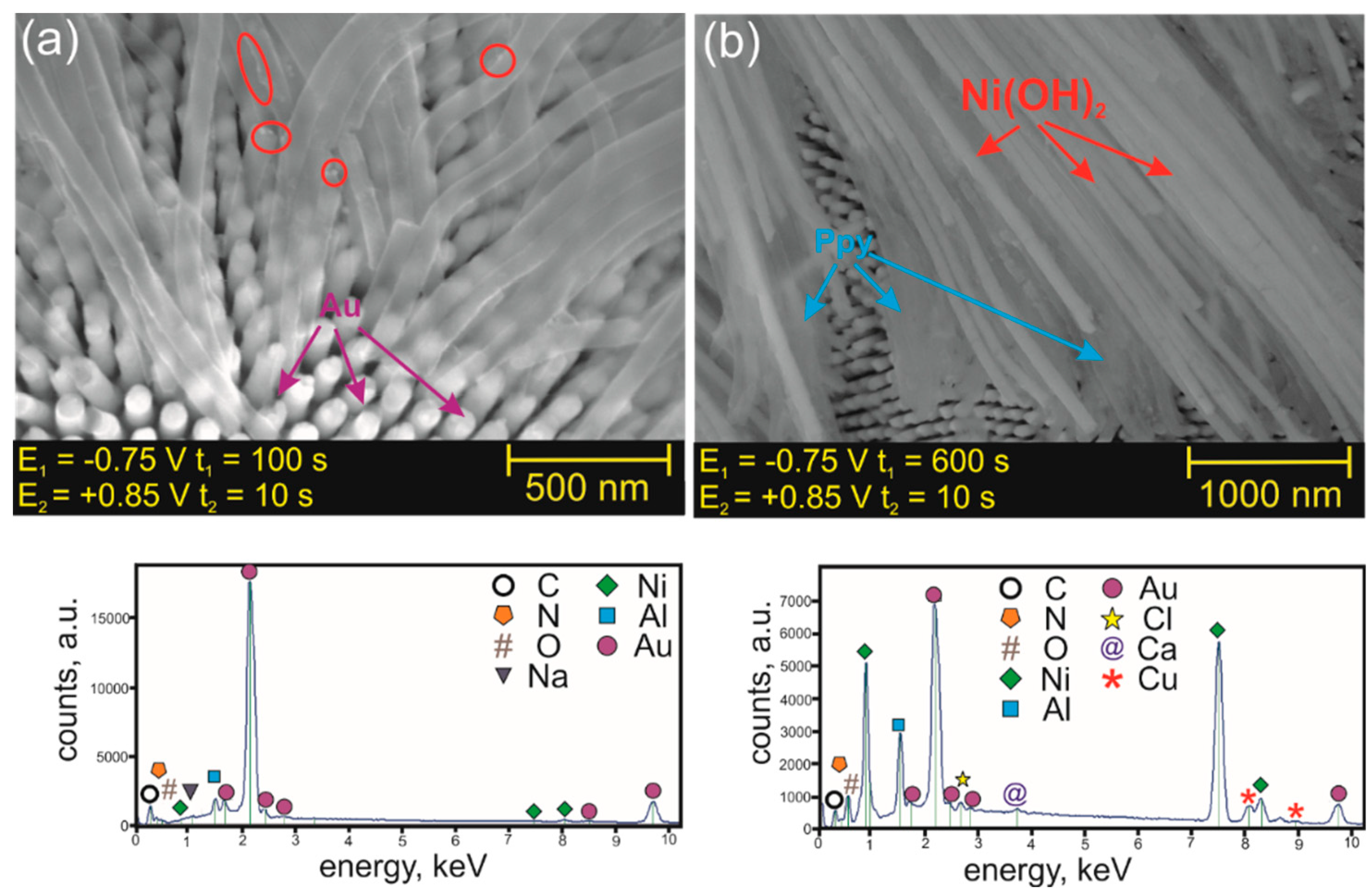 Nanomaterials 09 00307 g004