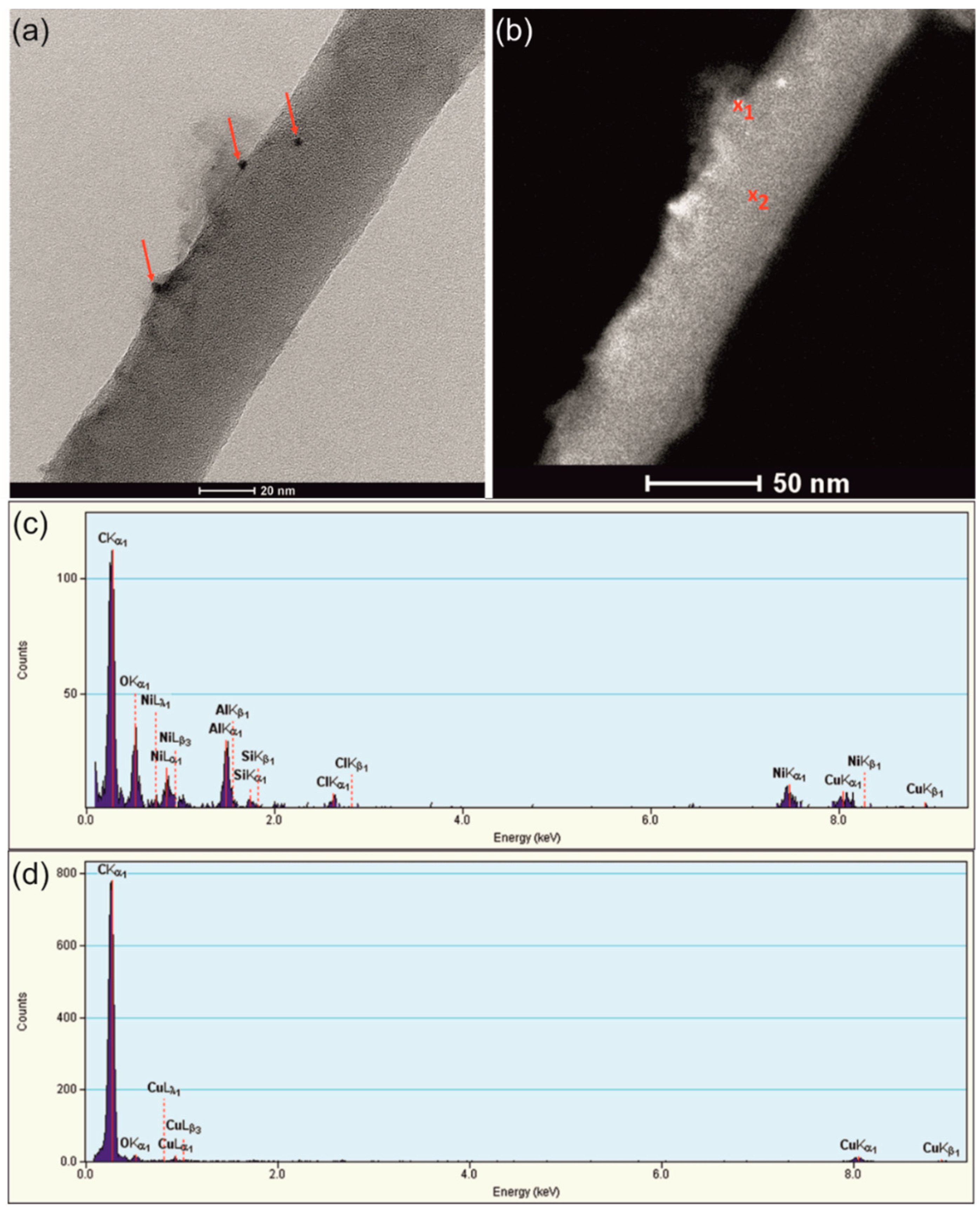 Nanomaterials 09 00307 g005