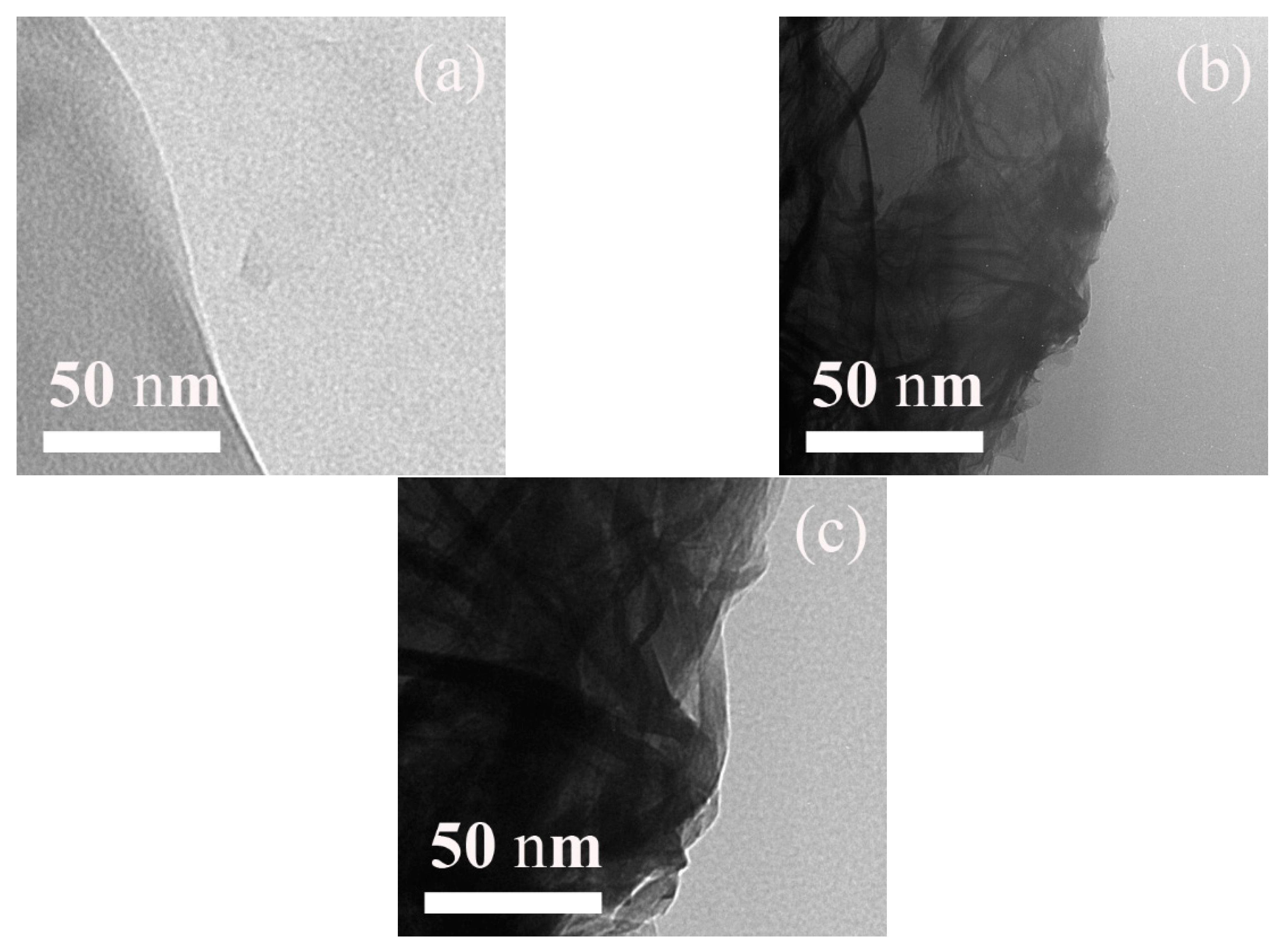 Nanomaterials 09 00308 g001