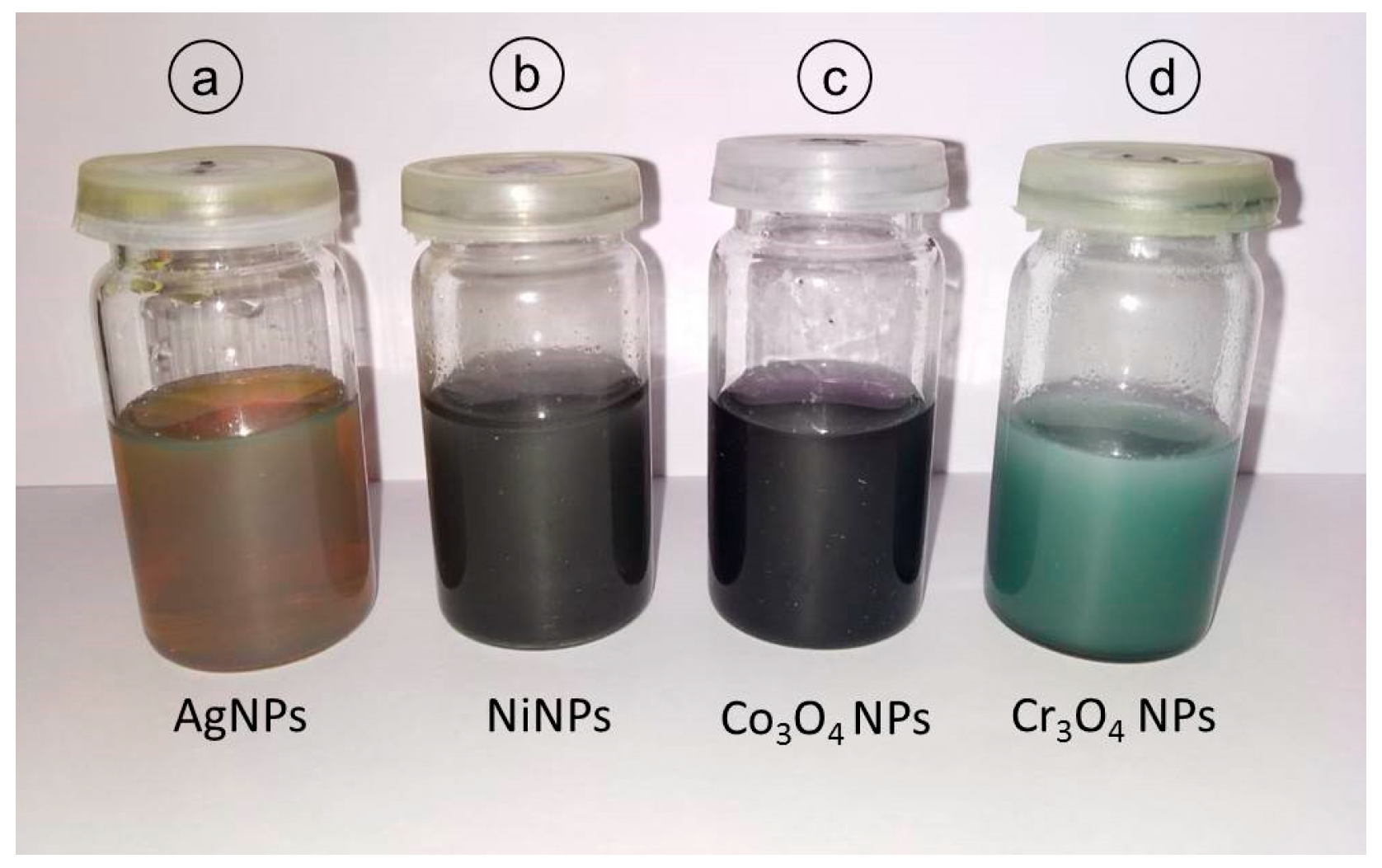 Nanomaterials 09 00309 g002