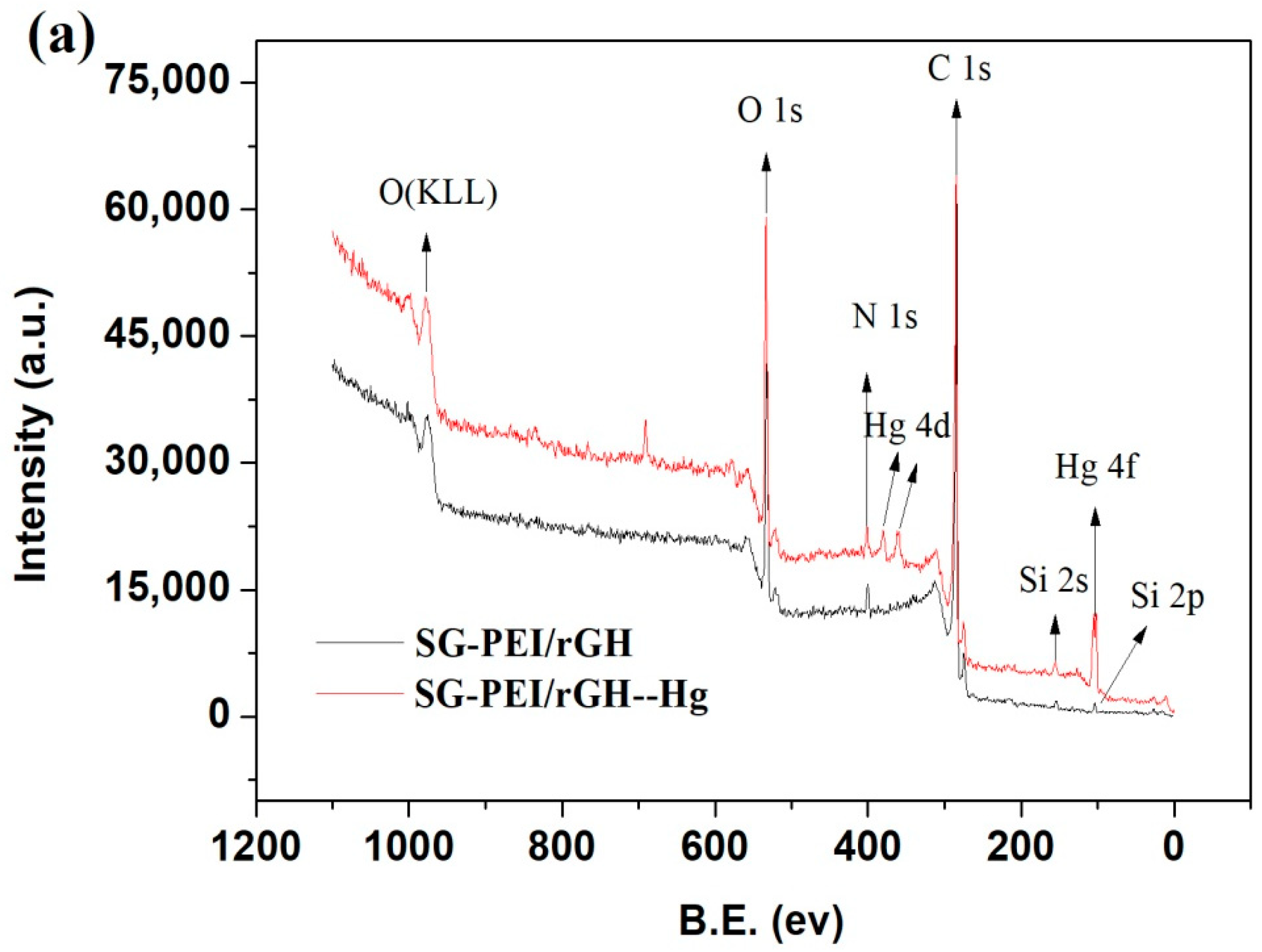Nanomaterials 09 00314 g011a Nanomaterials 09 00314 g011a