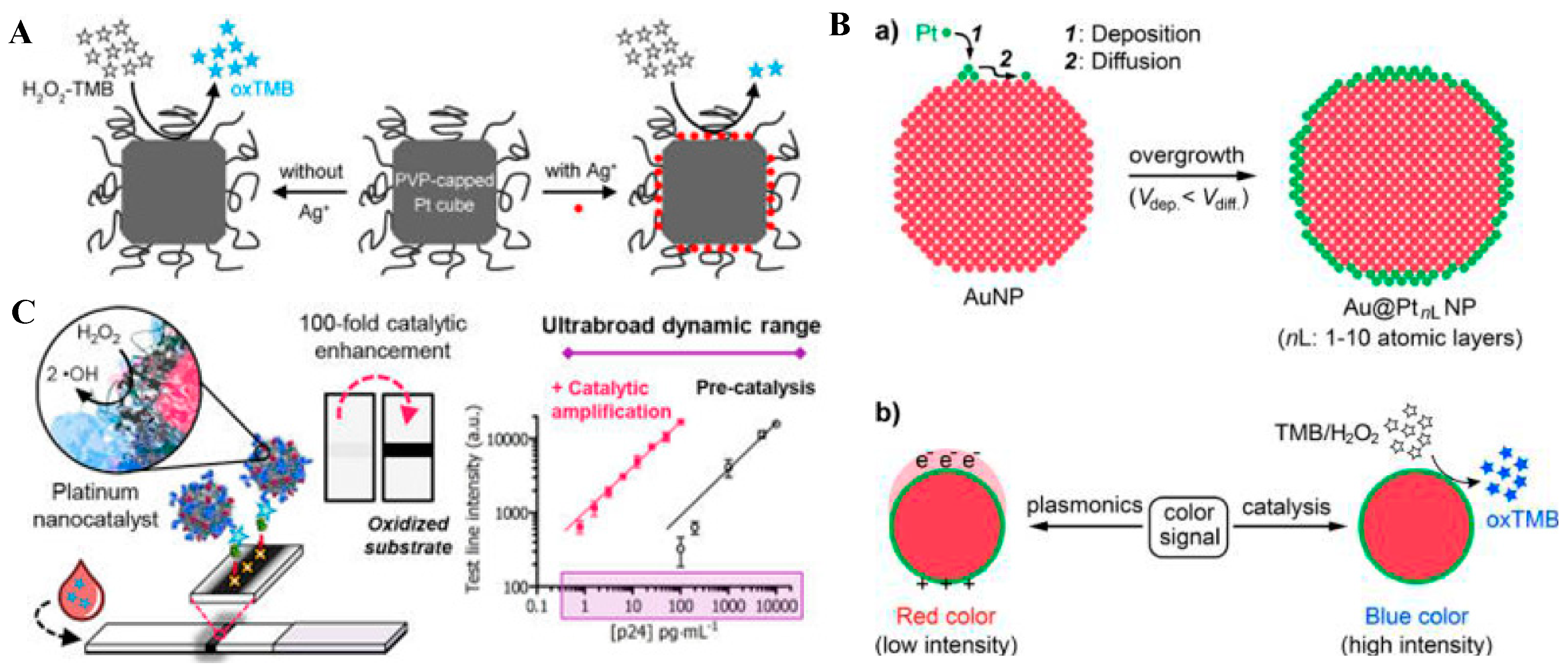 Nanomaterials 09 00316 g003