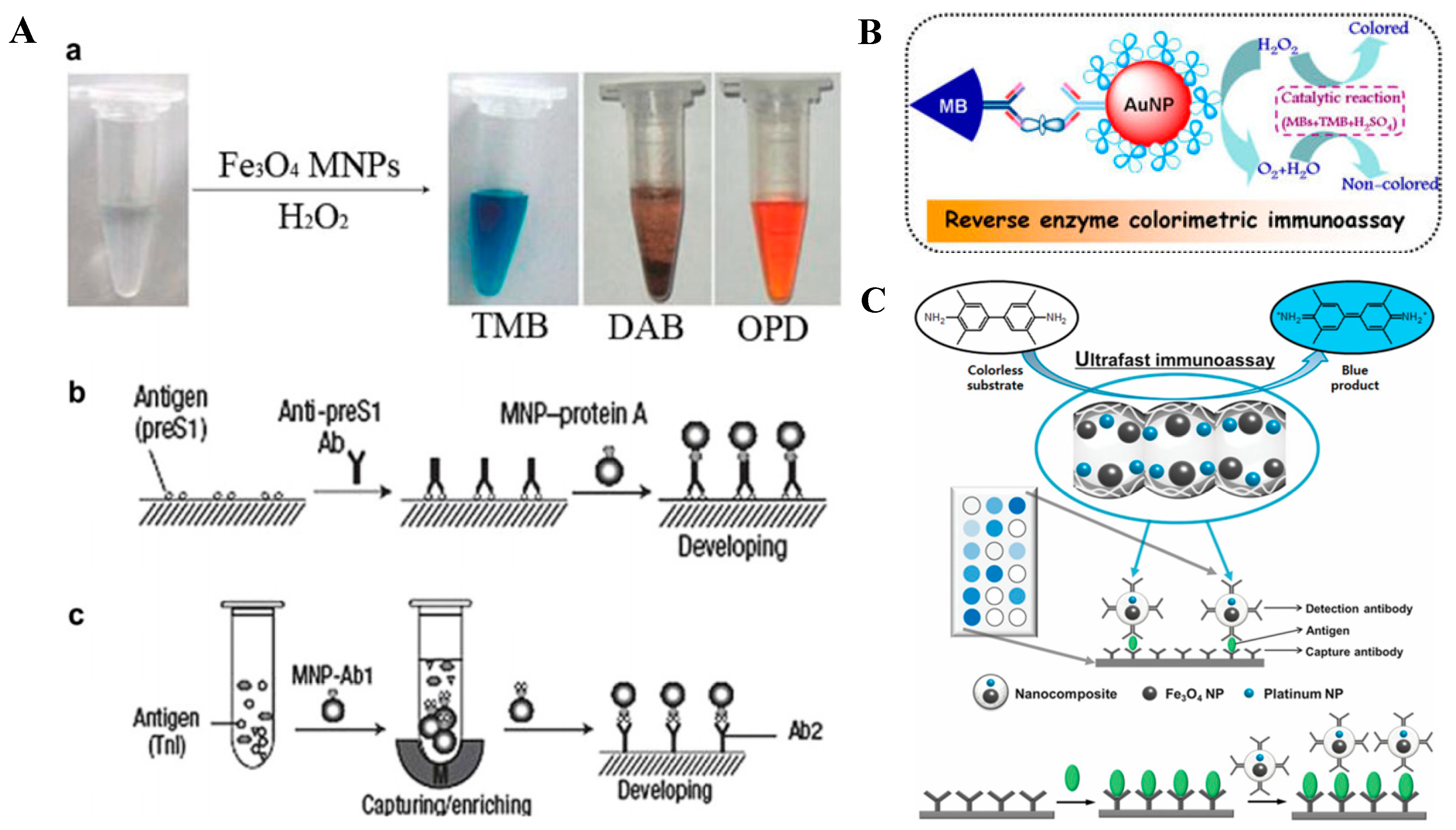 Nanomaterials 09 00316 g004