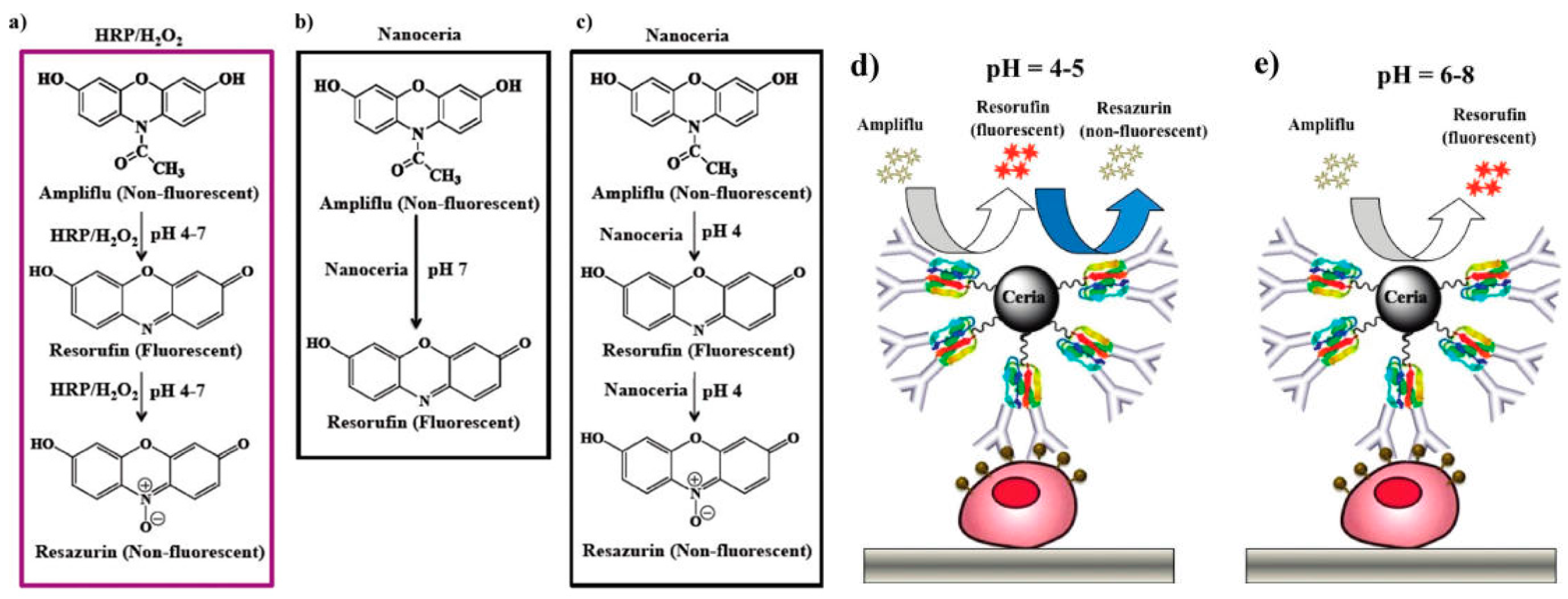 Nanomaterials 09 00316 g005