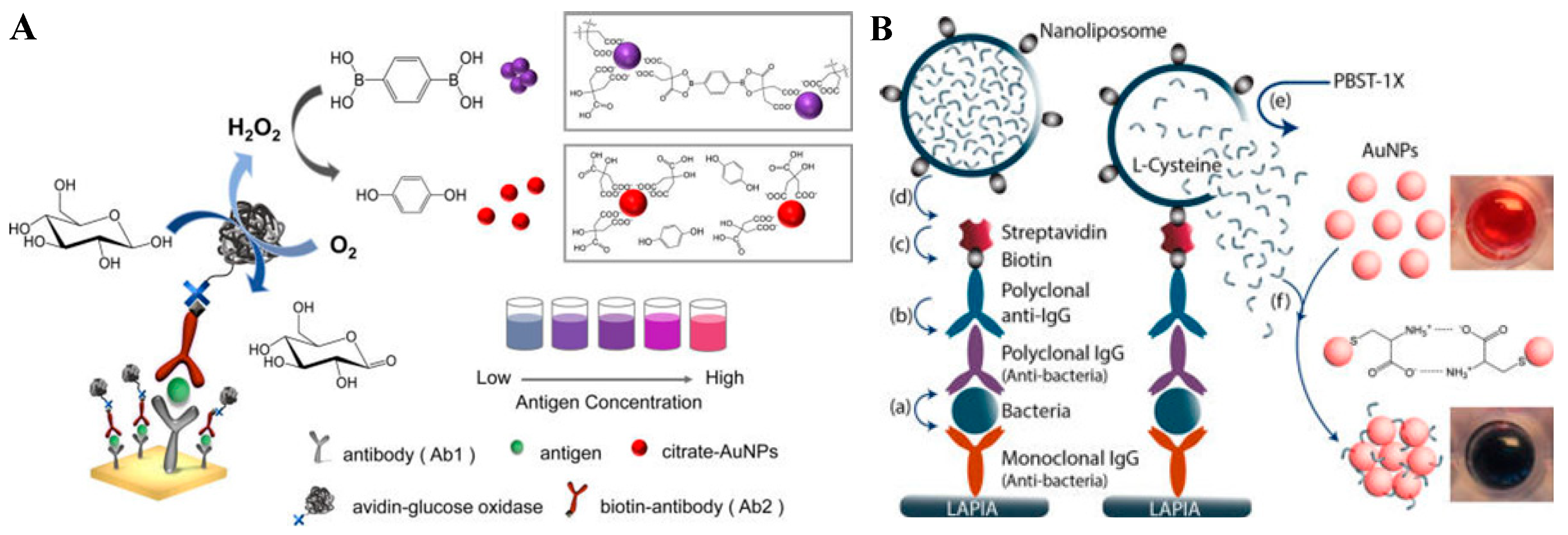 Nanomaterials 09 00316 g009a