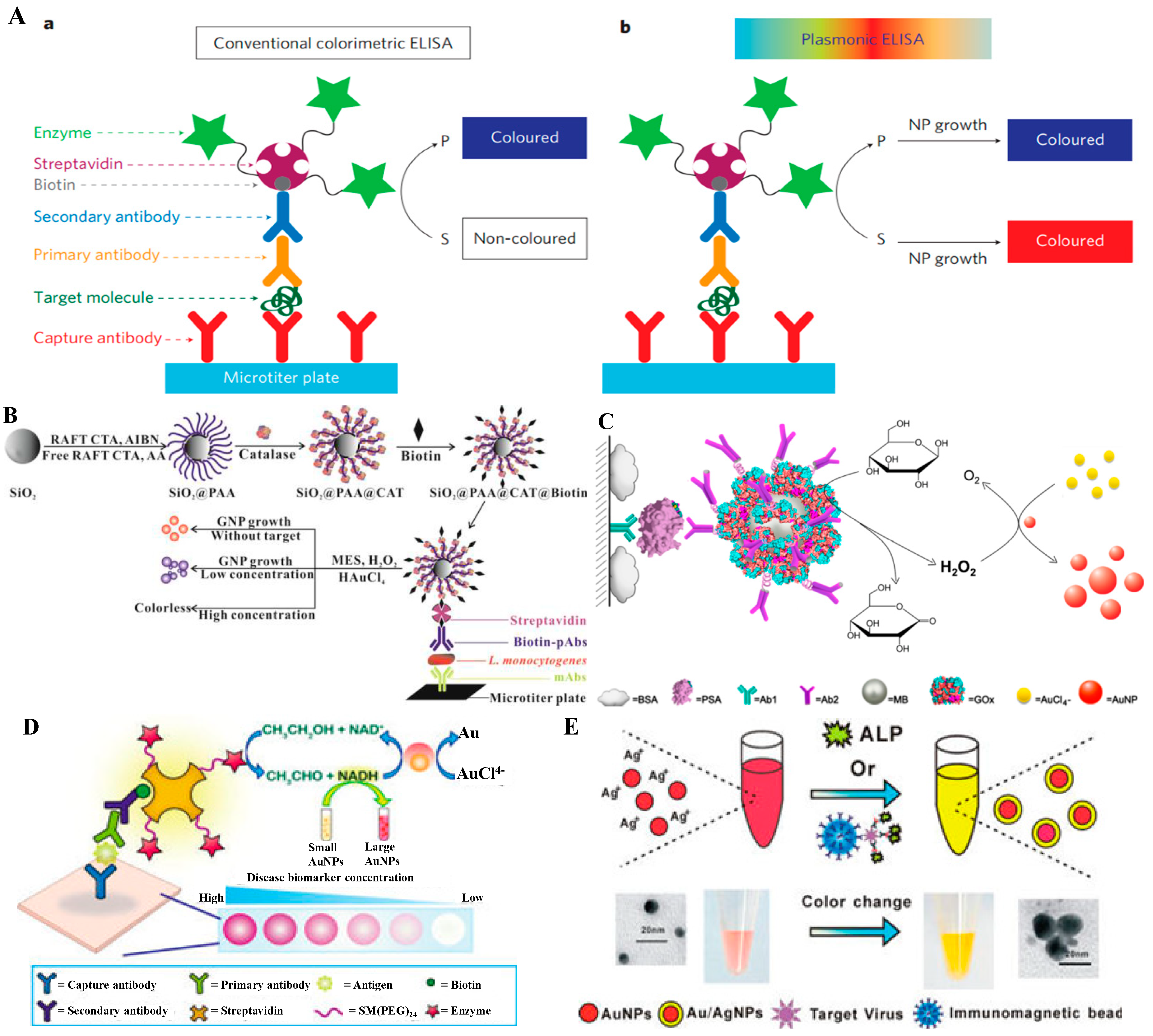 Nanomaterials 09 00316 g012