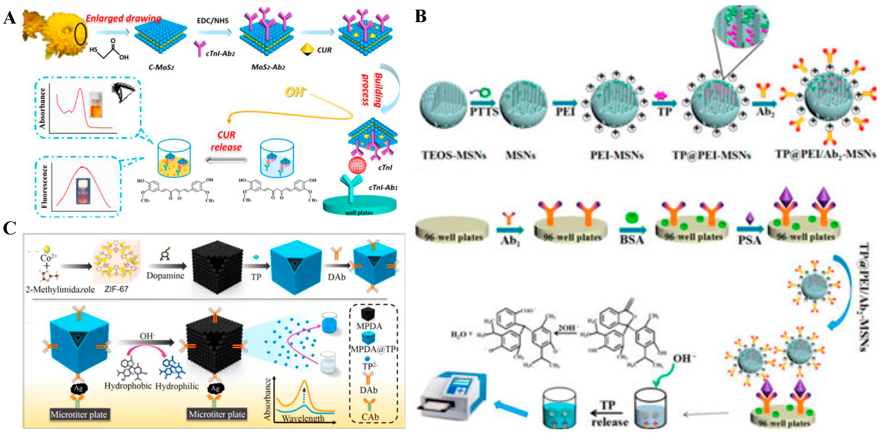 Nanomaterials 09 00316 g016