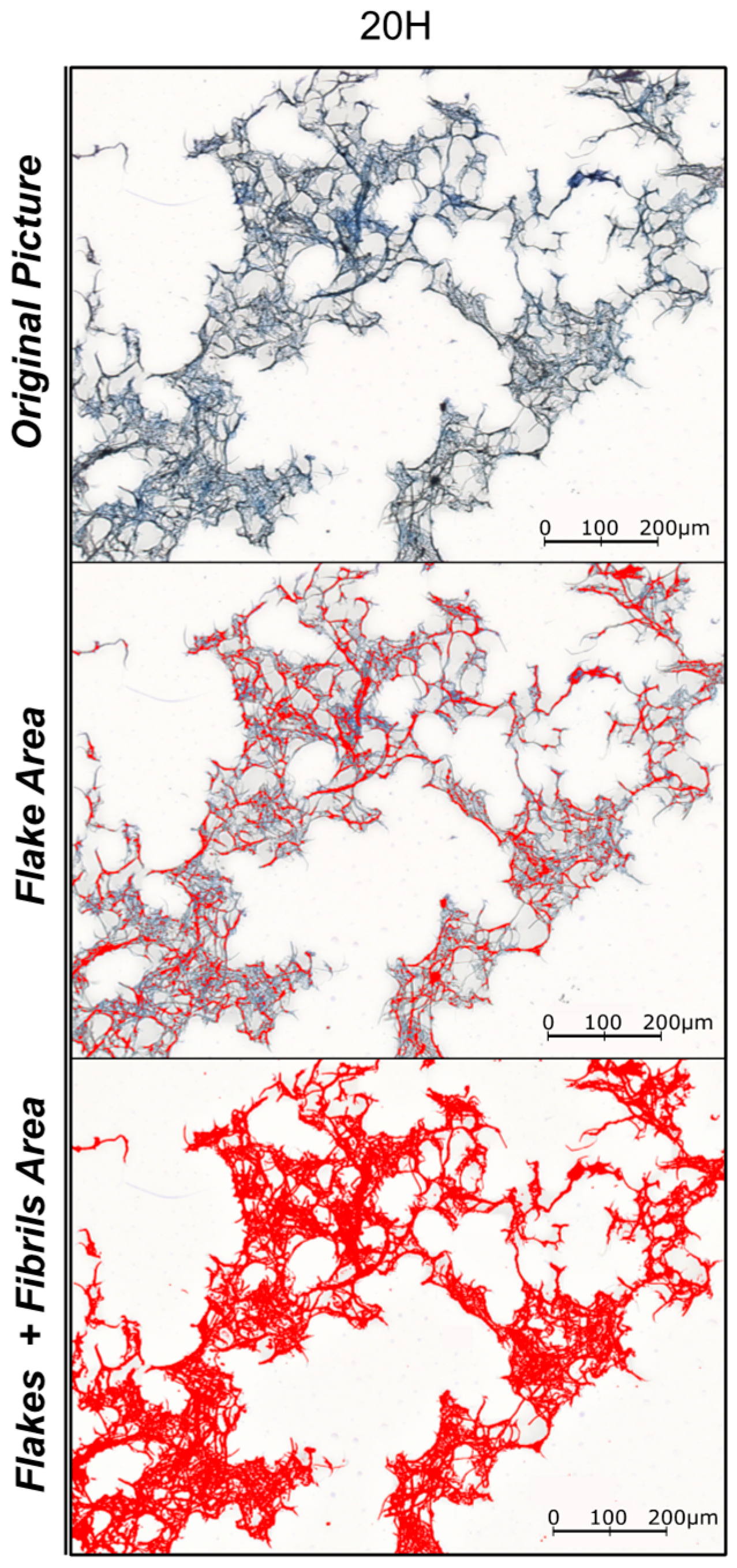 Nanomaterials 09 00321 g001 550