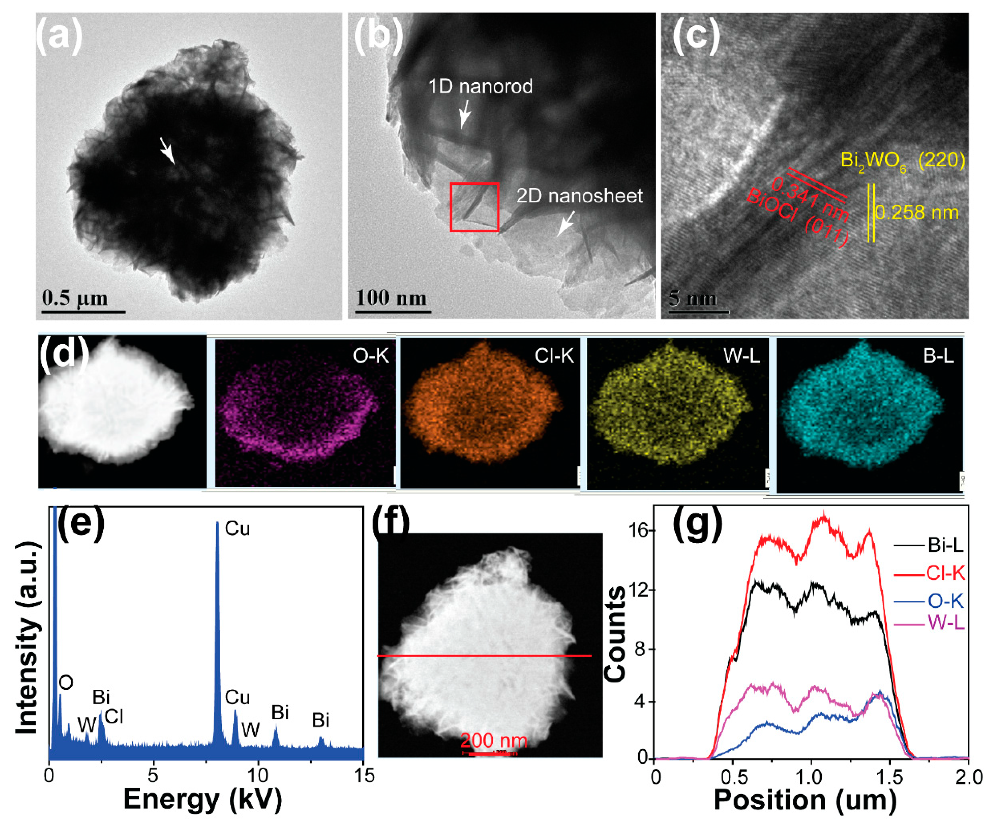 Nanomaterials 09 00322 g003 550