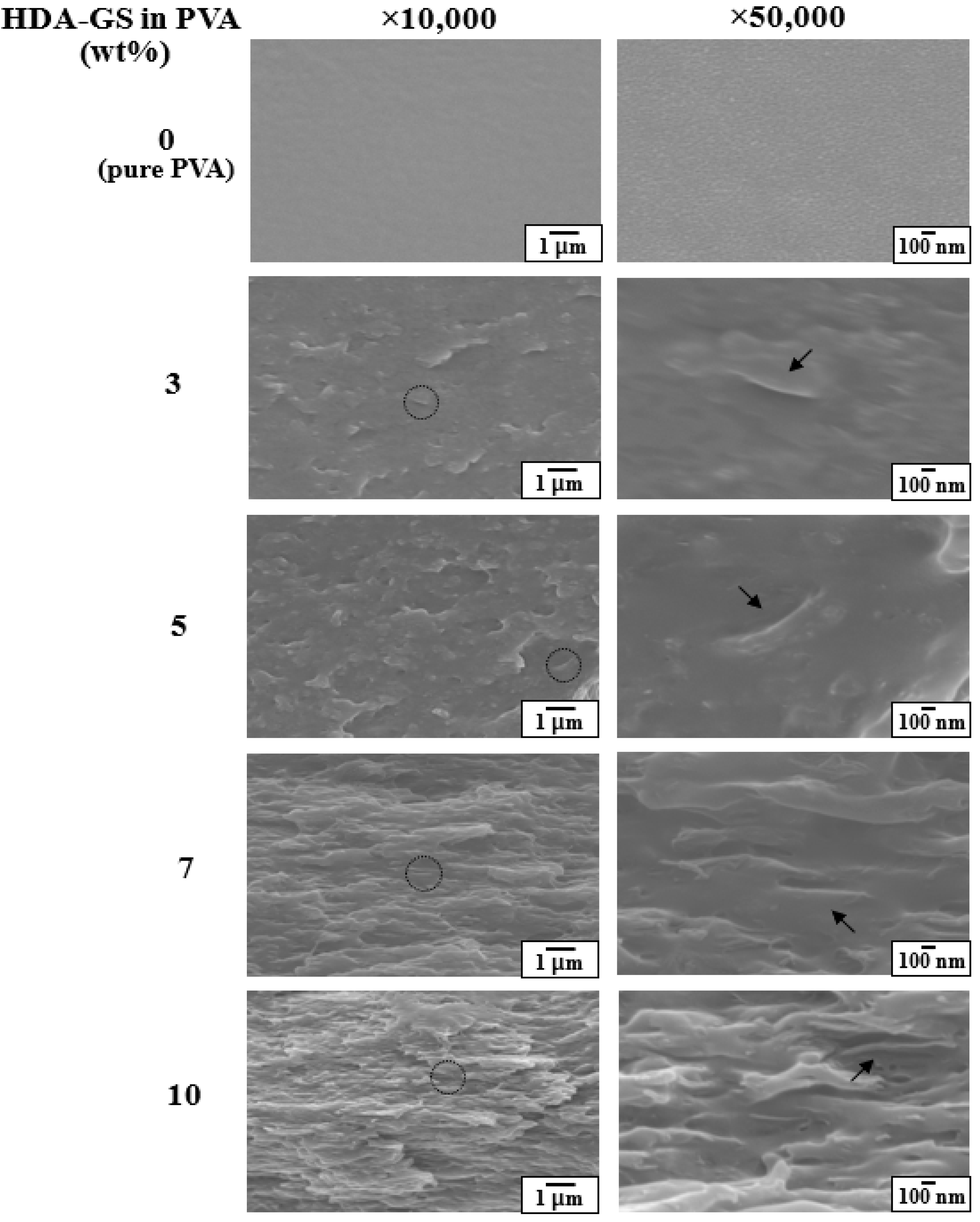 Nanomaterials 09 00323 g006 Nanomaterials 09 00323 g006