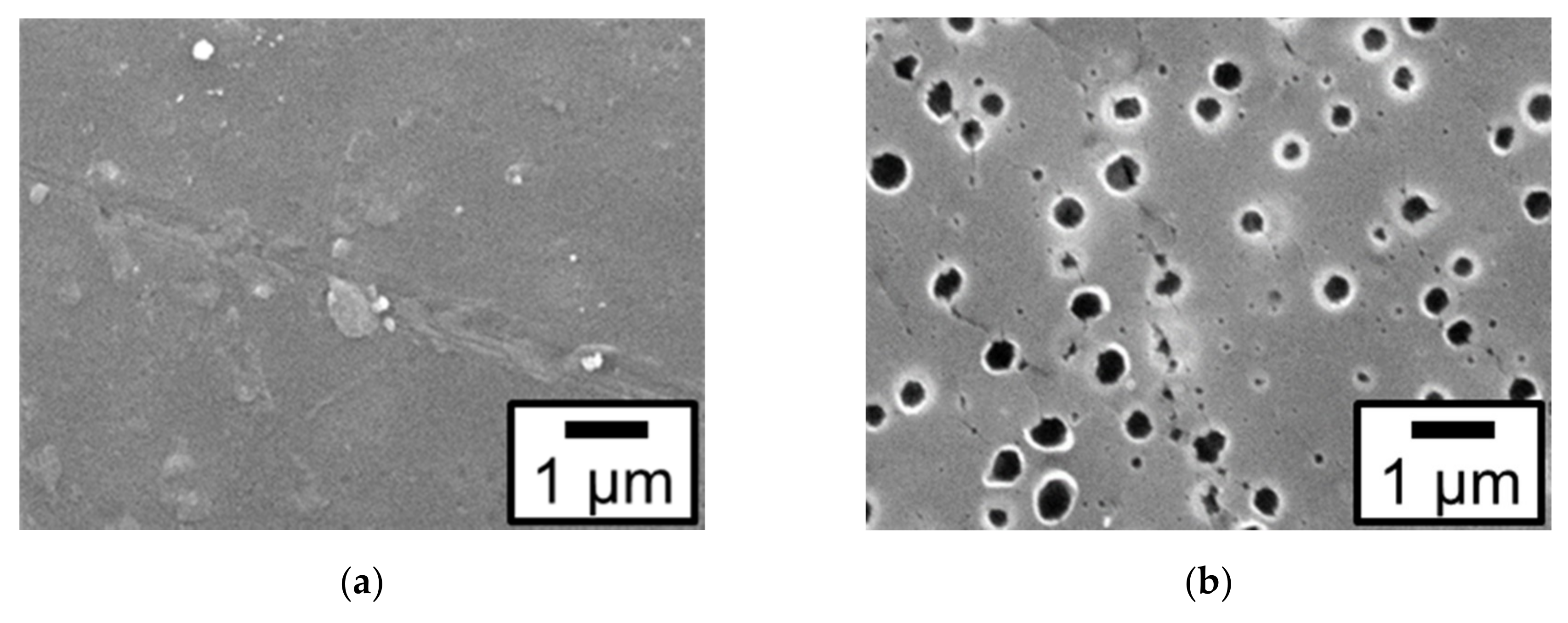 Nanomaterials 09 00342 g001