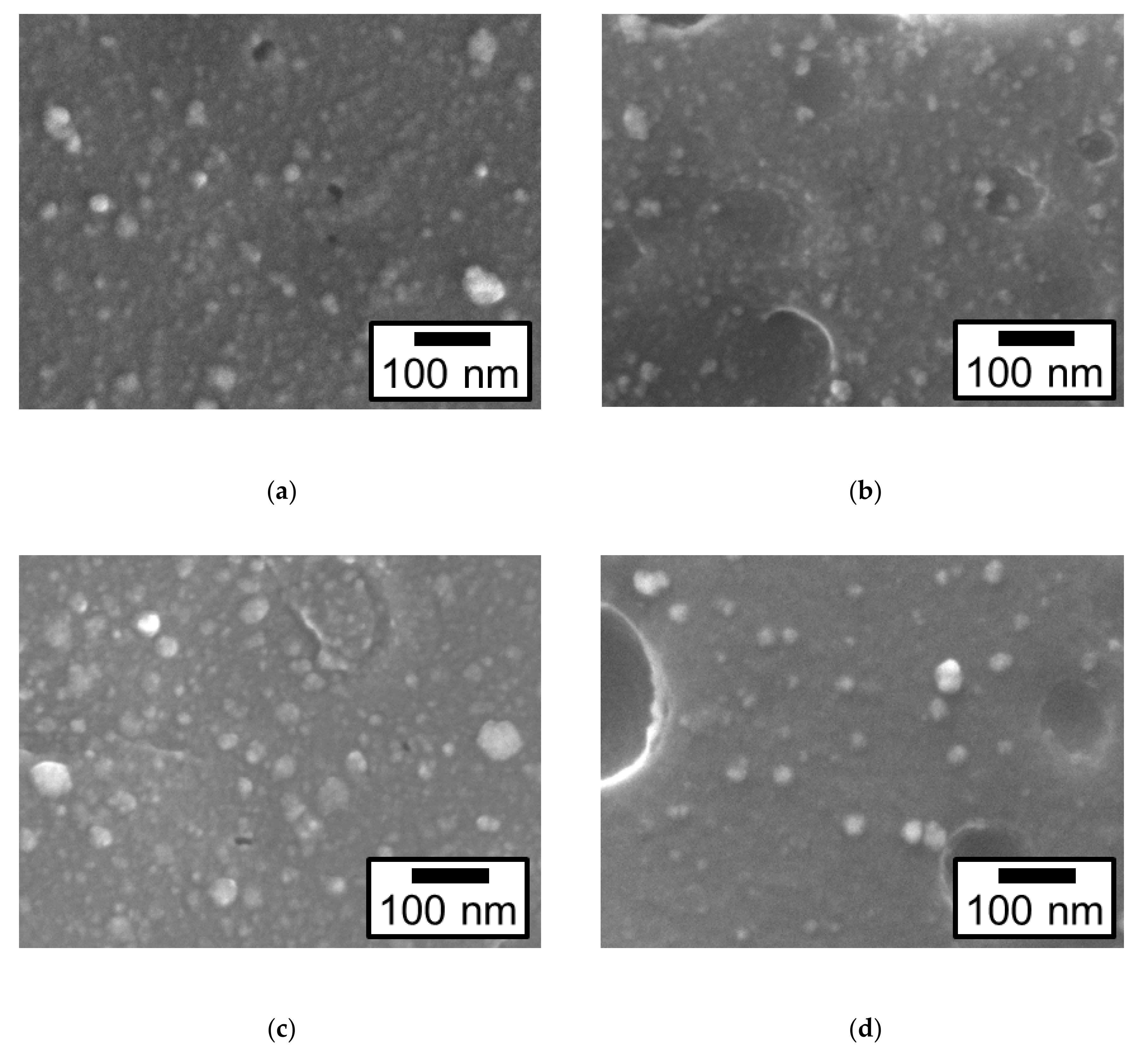 Nanomaterials 09 00342 g003
