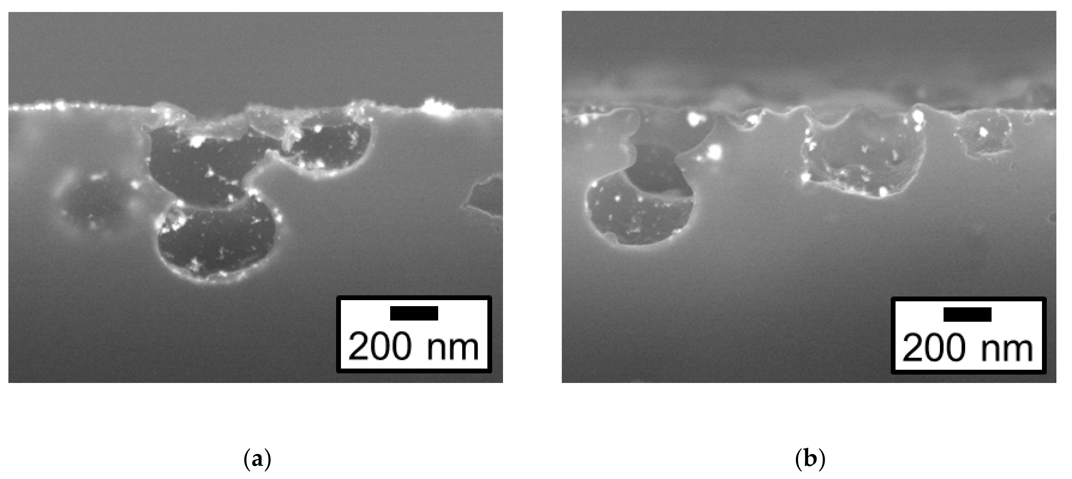 Nanomaterials 09 00342 g004