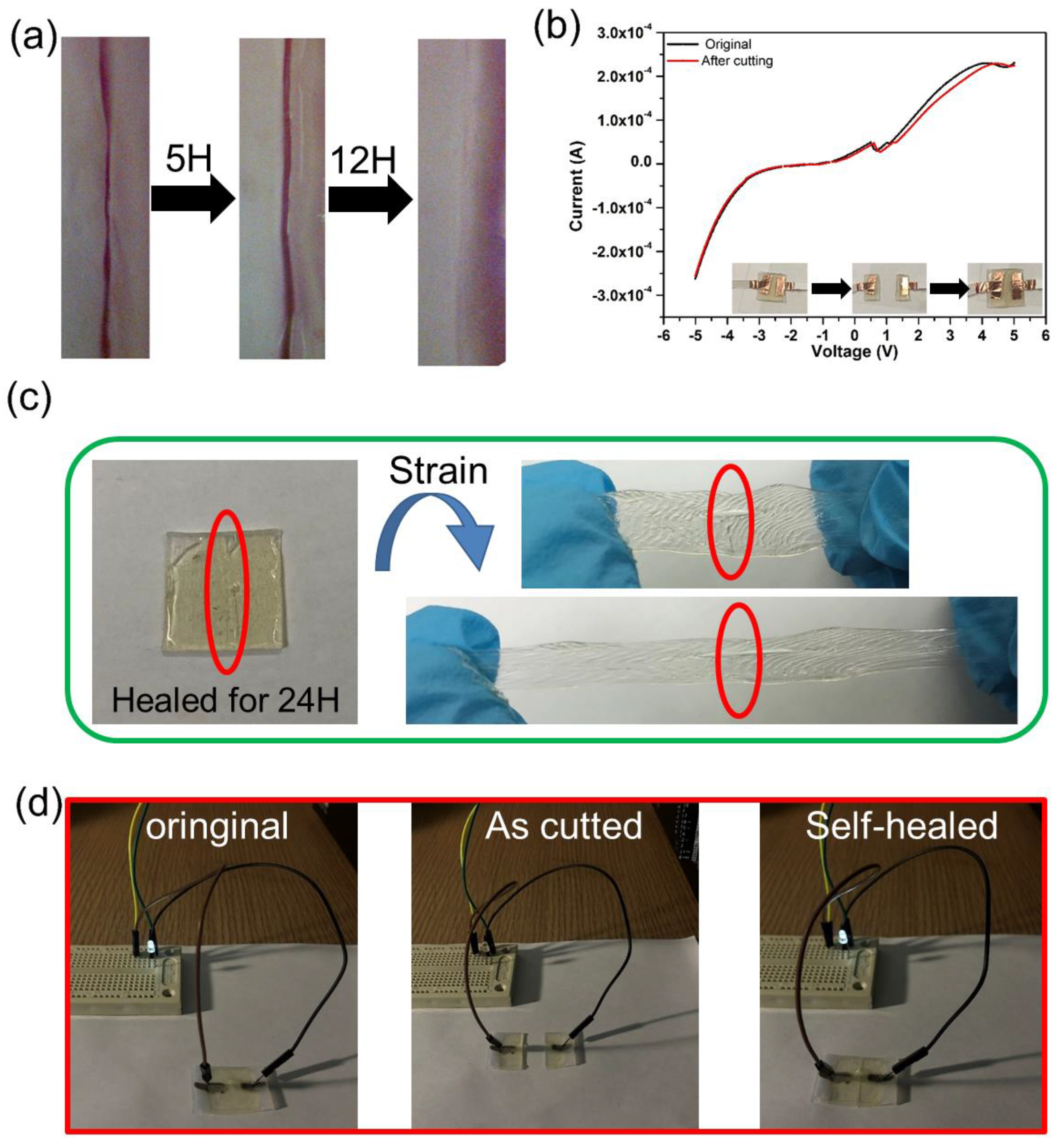 Nanomaterials 09 00343 g003
