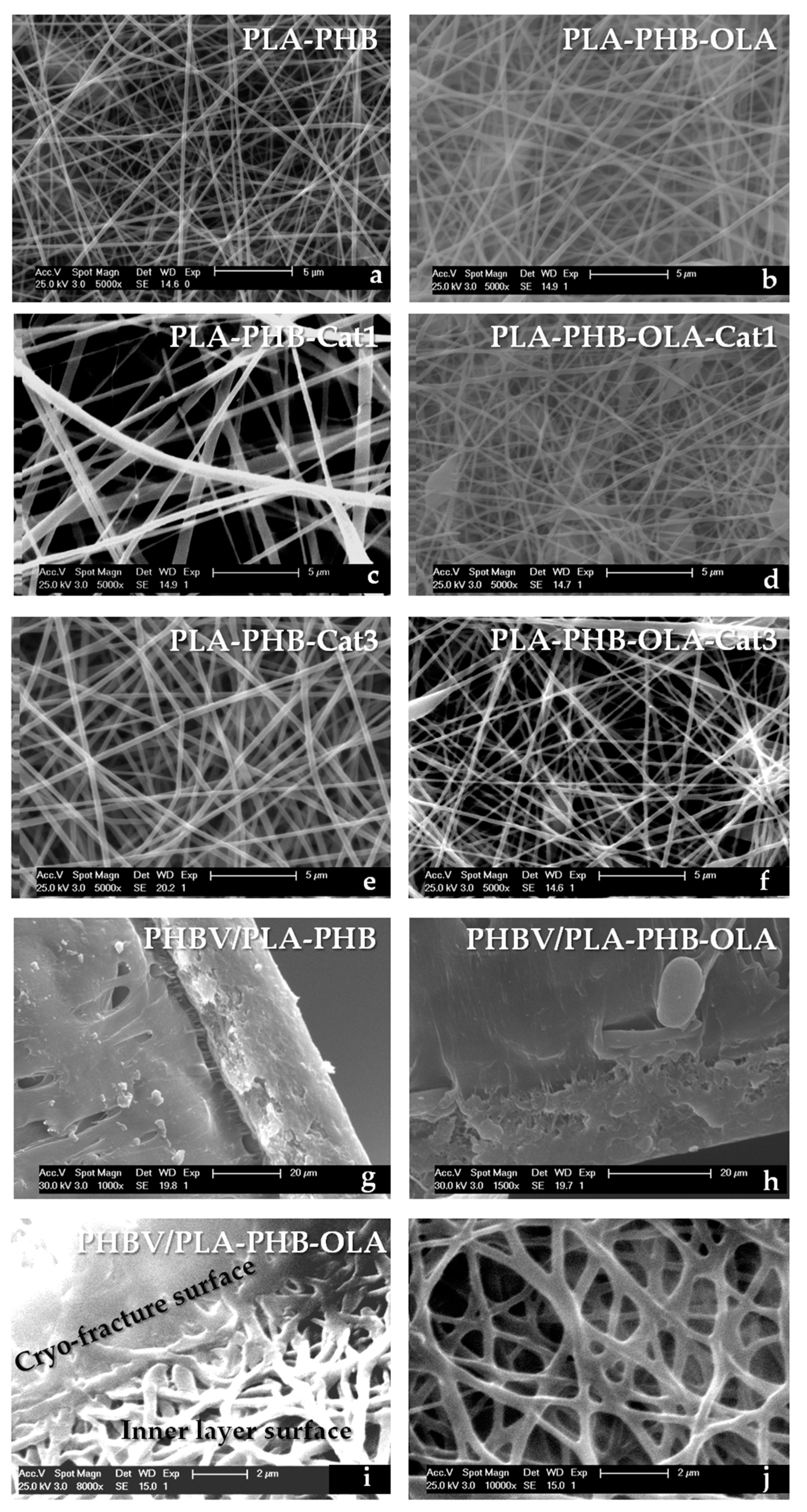 Nanomaterials 09 00346 g001 Nanomaterials 09 00346 g001
