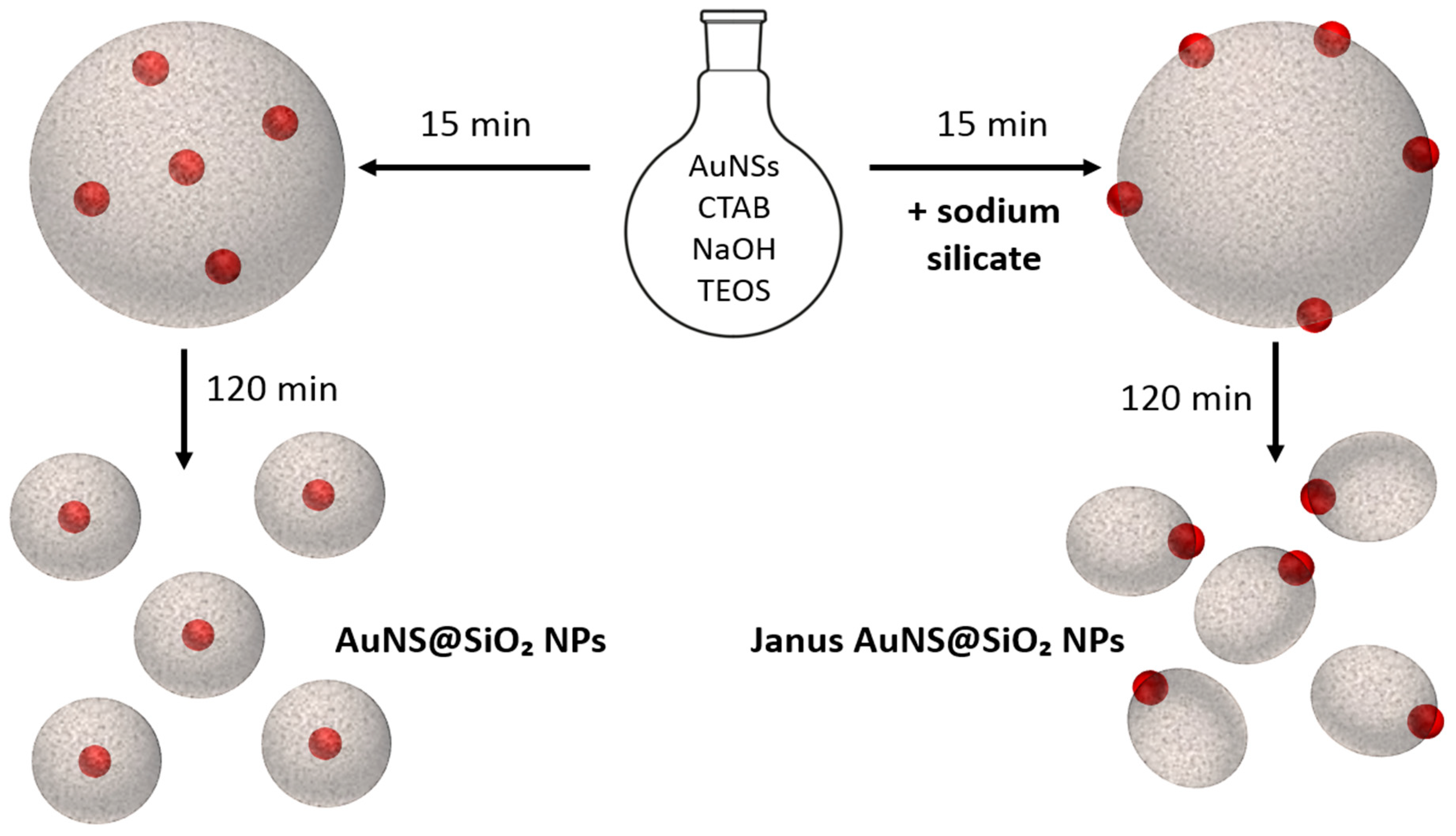 Nanomaterials 09 00348 sch001