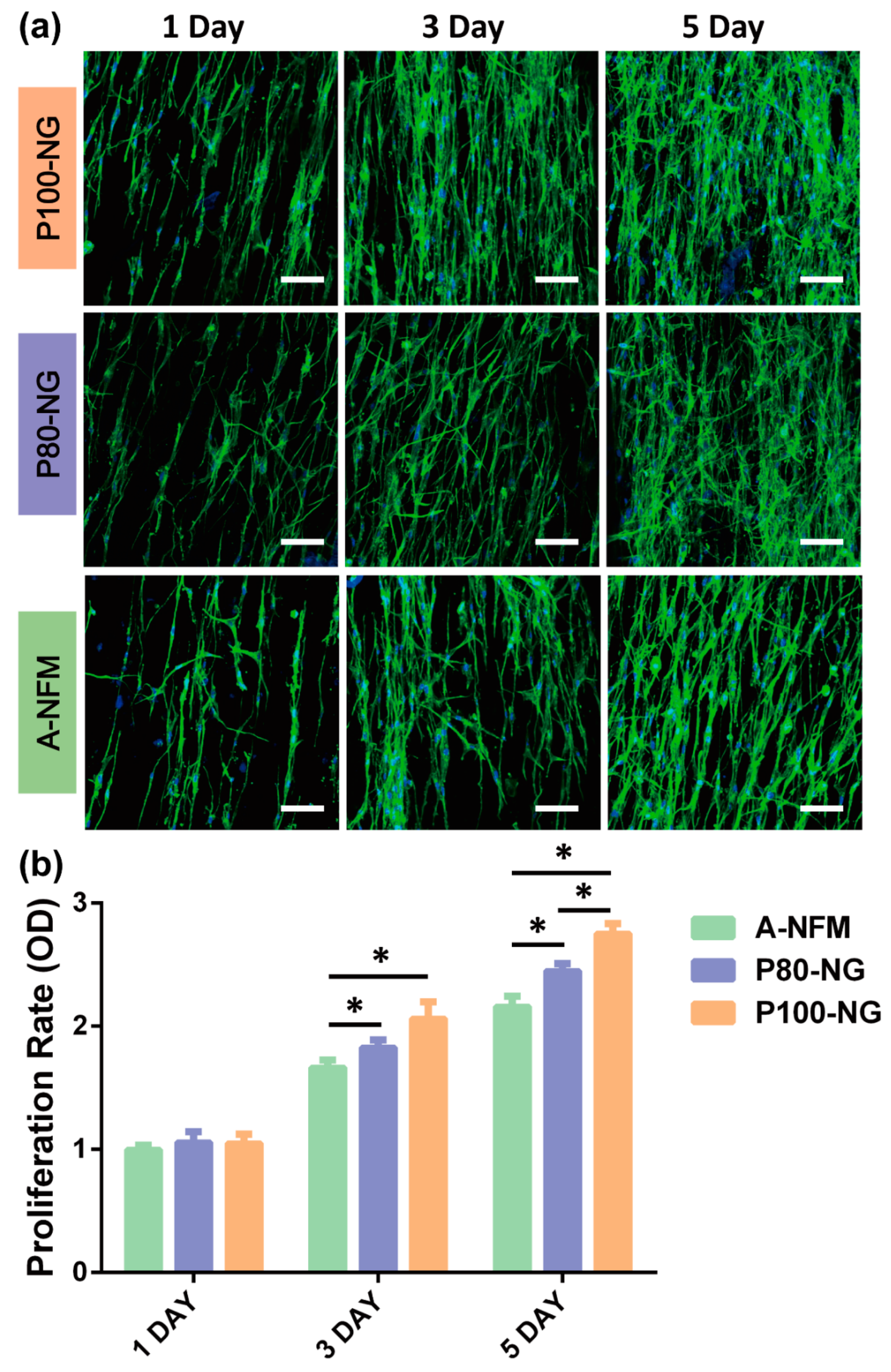 Nanomaterials 09 00349 g008