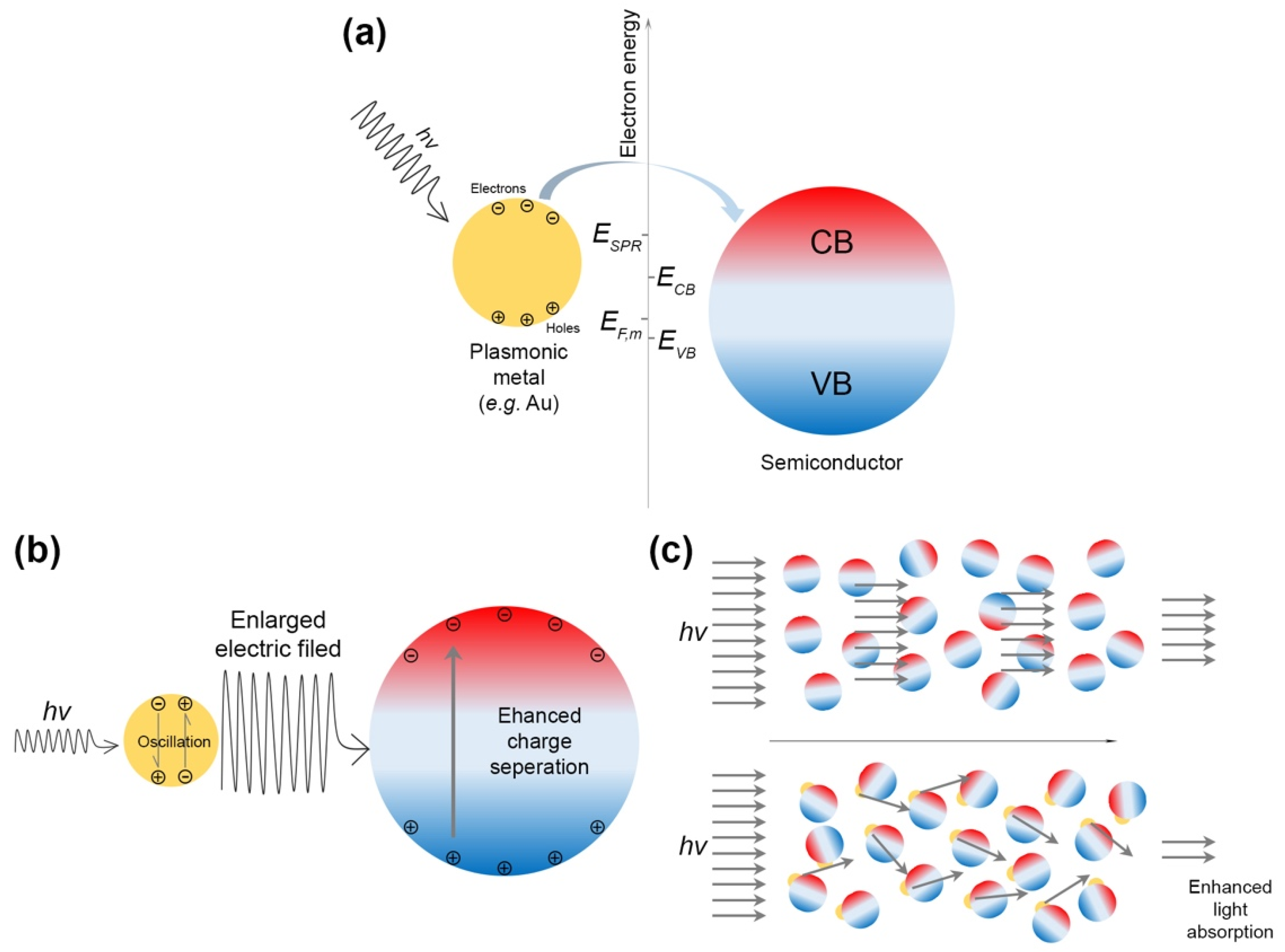 Nanomaterials 09 00359 g003