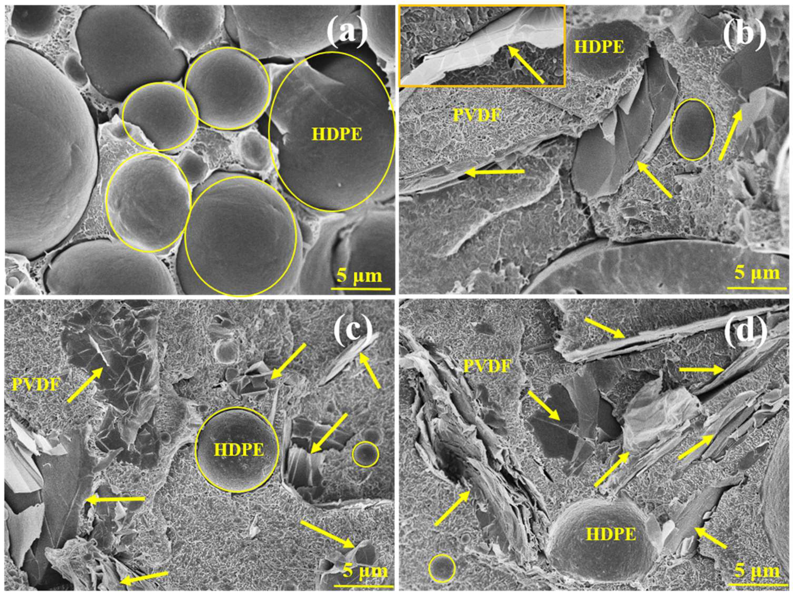 Graphene Nanoplatelet-Reinforced Poly(vinylidene fluoride Graphene Nanoplatelet-Reinforced Poly(vinylidene fluoride